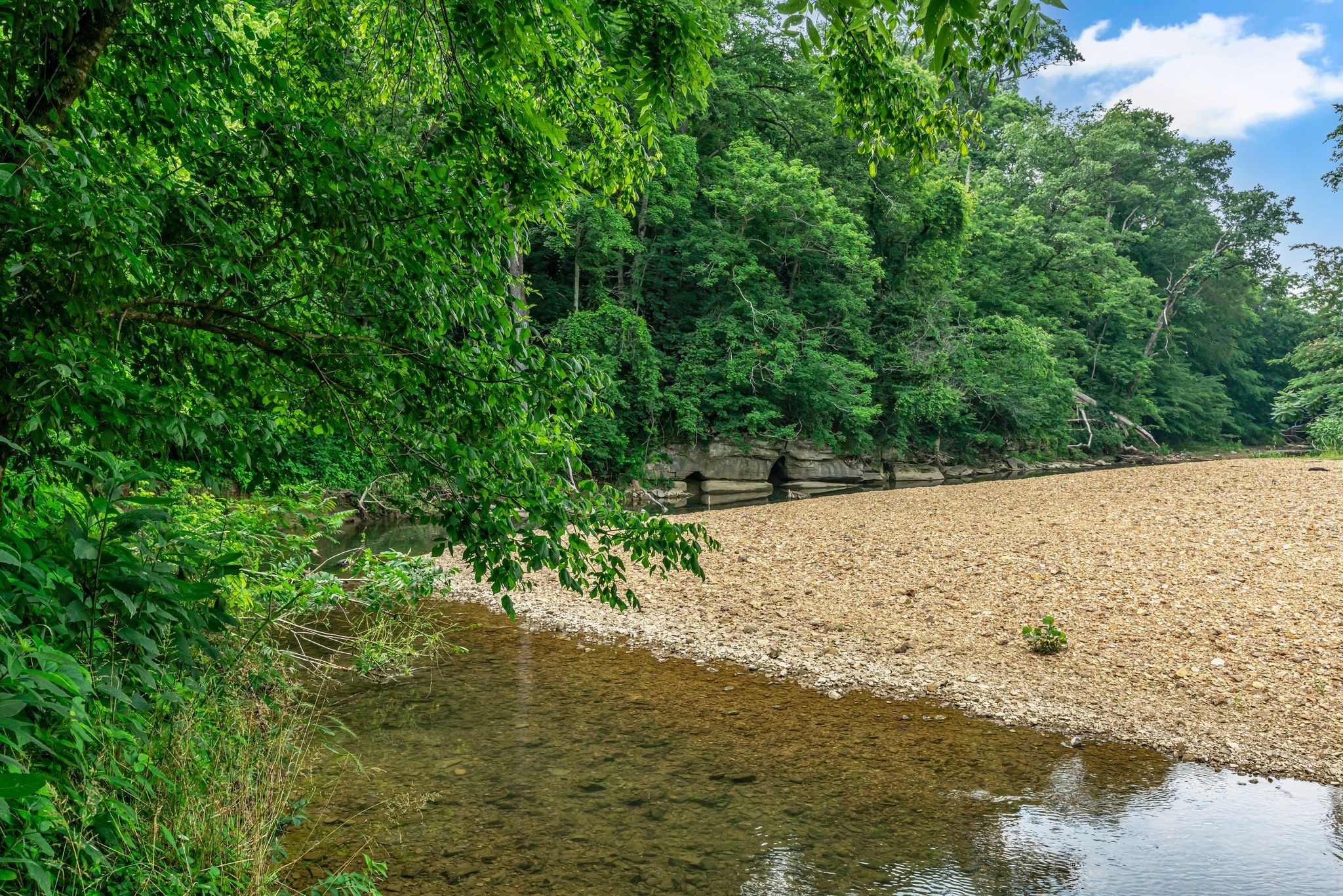 3316 Burr Road Springfield, TN 37172 - Photo 60 of 86