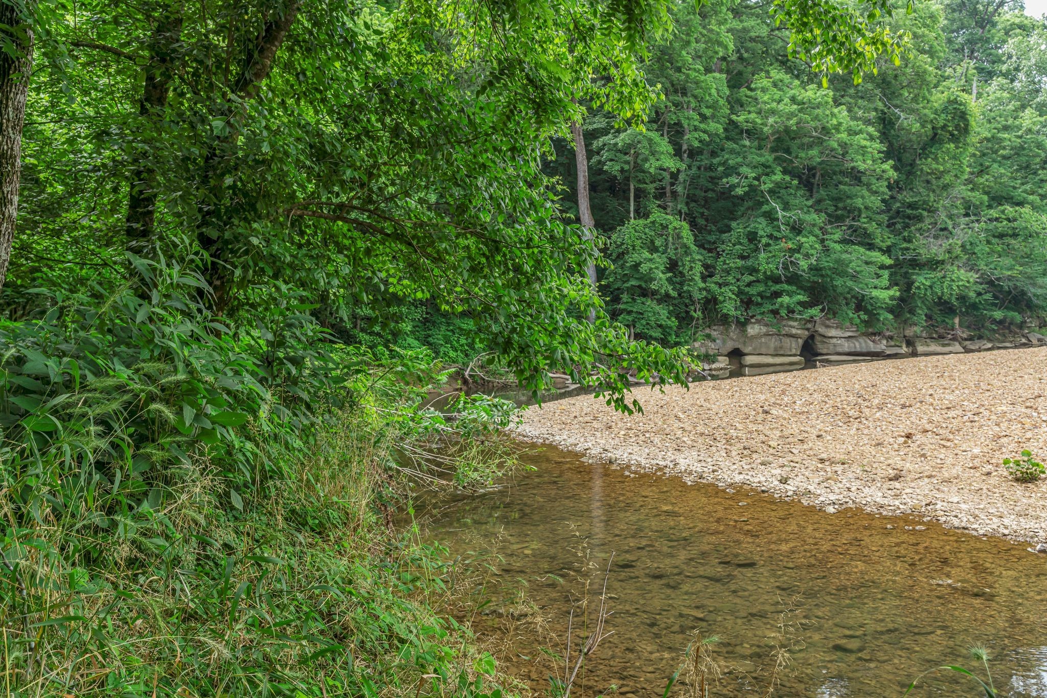 3316 Burr Road Springfield, TN 37172 - Photo 61 of 86