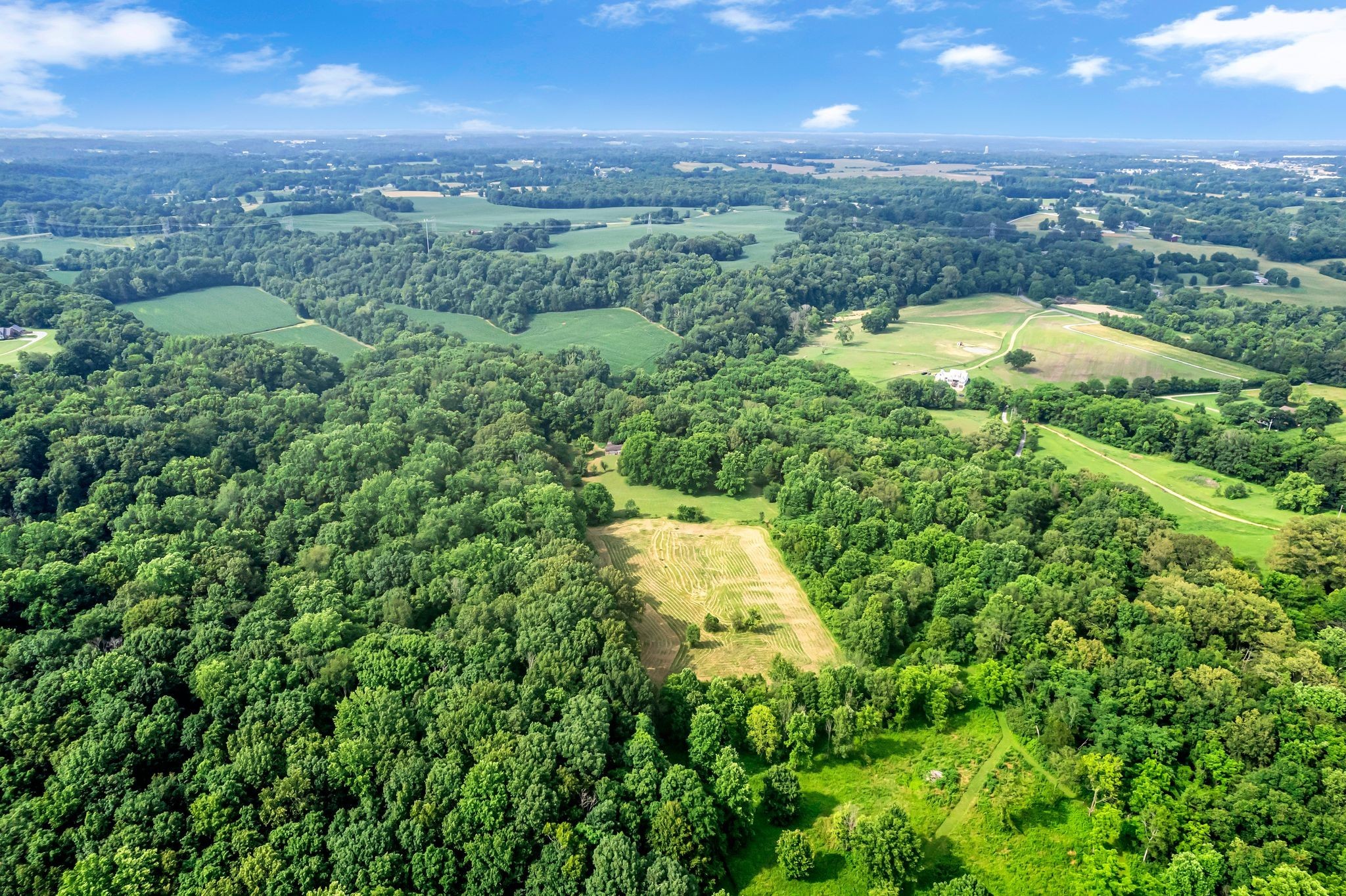 3316 Burr Road Springfield, TN 37172 - Photo 69 of 86