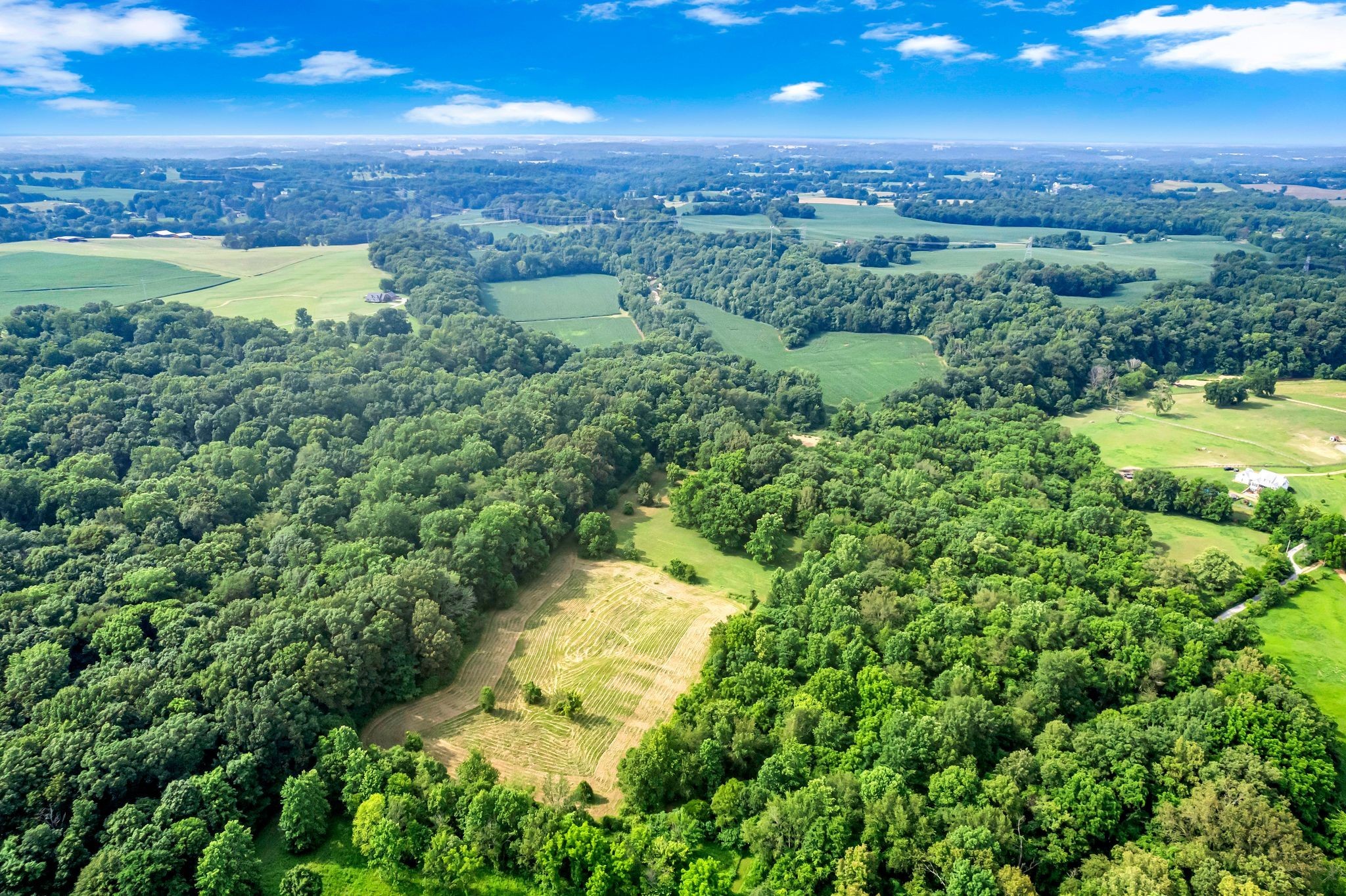 3316 Burr Road Springfield, TN 37172 - Photo 70 of 86