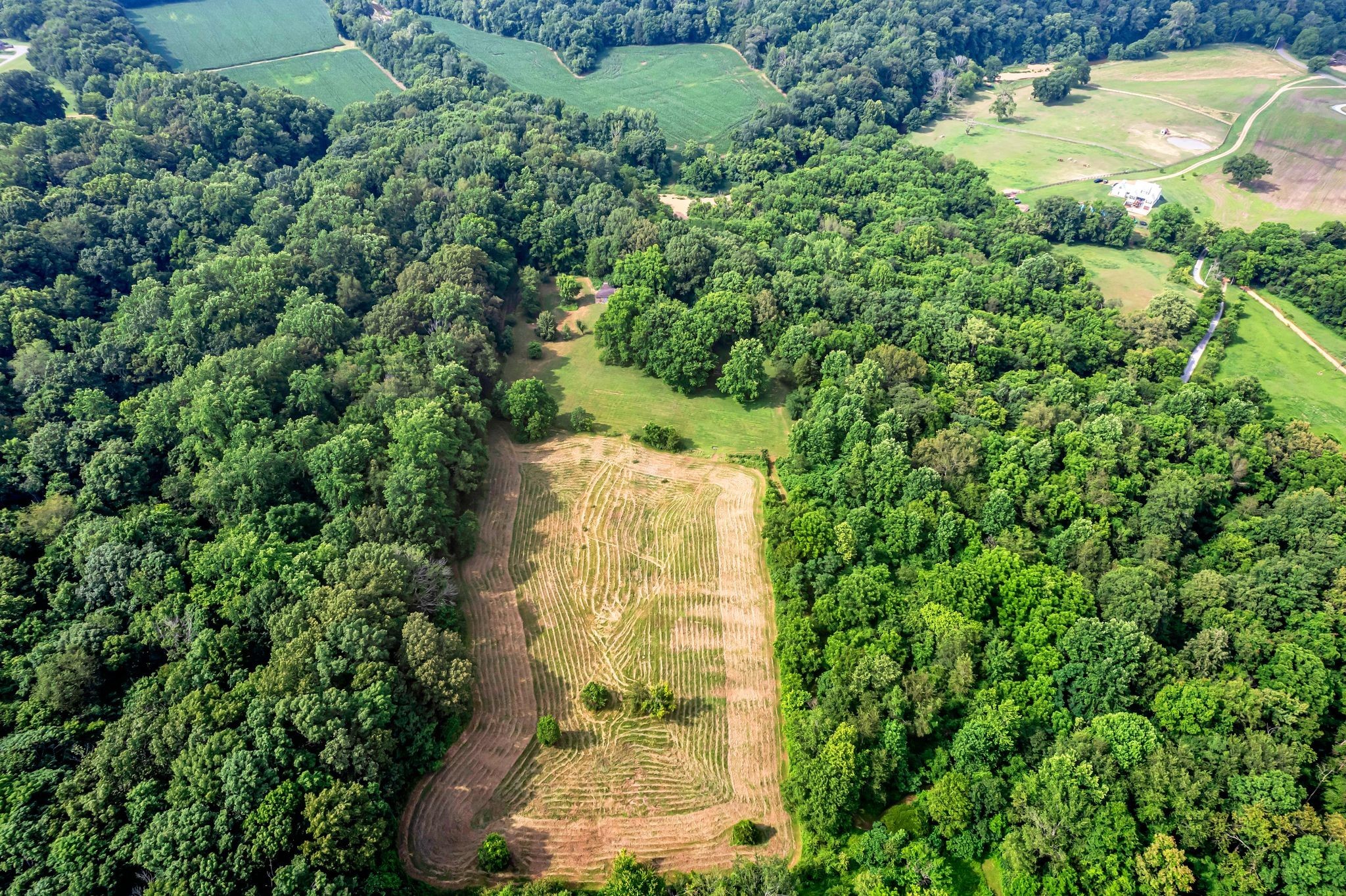 3316 Burr Road Springfield, TN 37172 - Photo 71 of 86