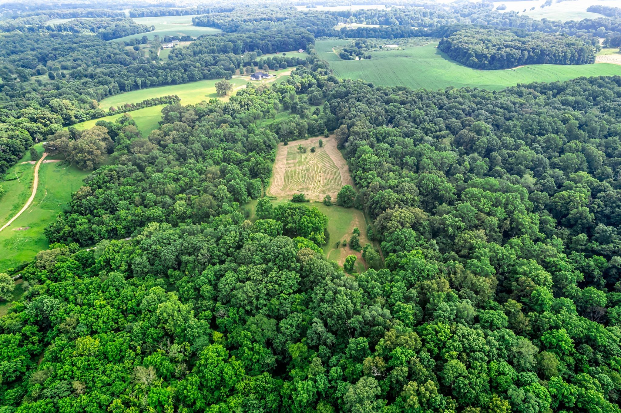 3316 Burr Road Springfield, TN 37172 - Photo 75 of 86