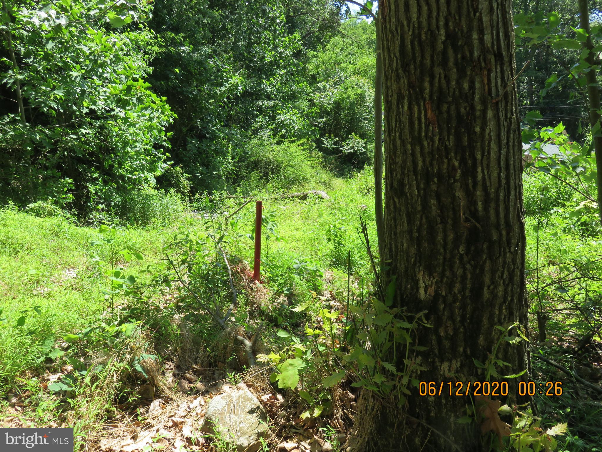 Parcel # 100-a 5200 Parcel Road Dover, PA 17315 - Photo 14 of 35