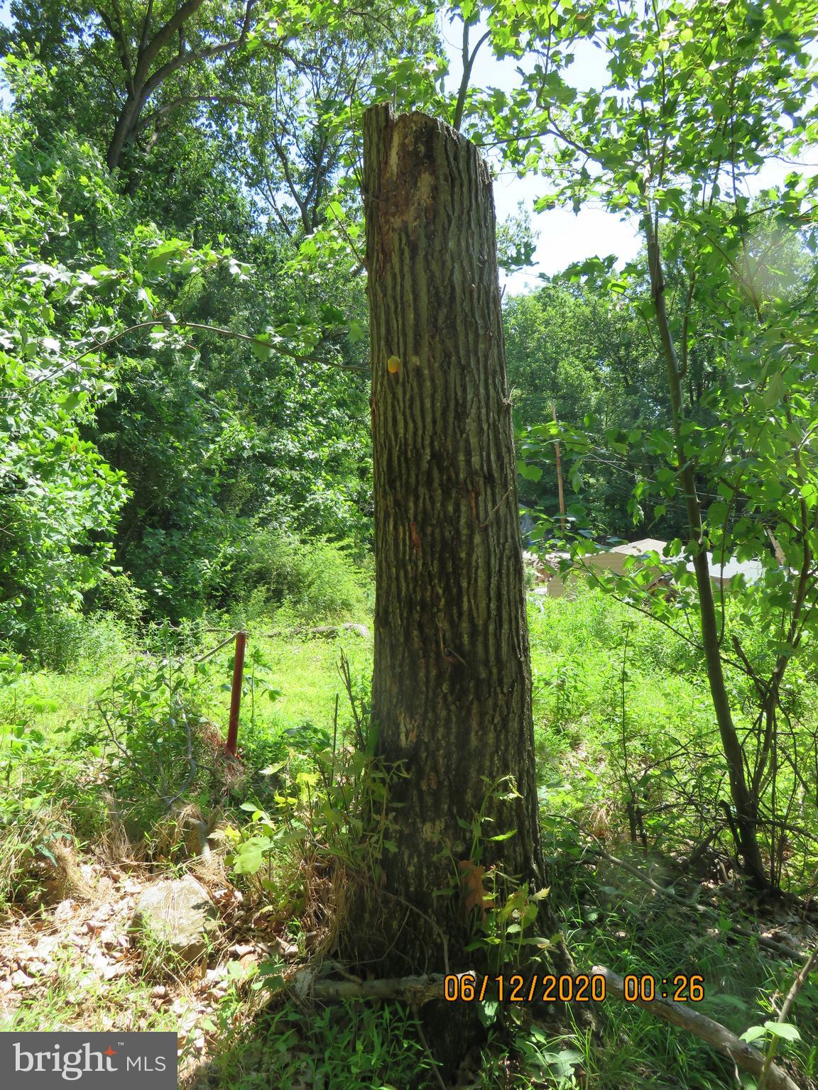 Parcel # 100-a 5200 Parcel Road Dover, PA 17315 - Photo 15 of 35