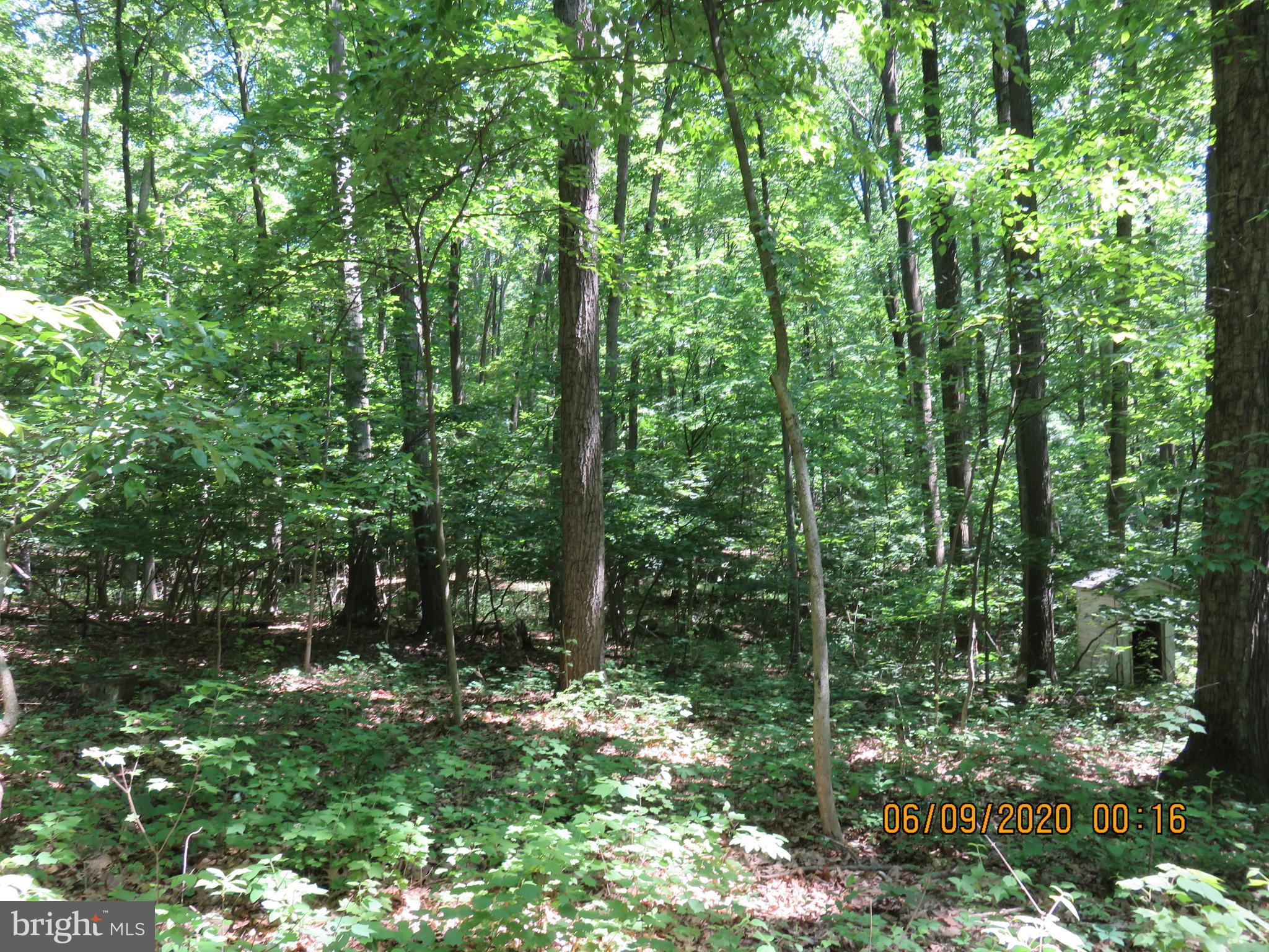 Parcel # 100-a 5200 Parcel Road Dover, PA 17315 - Photo 16 of 35