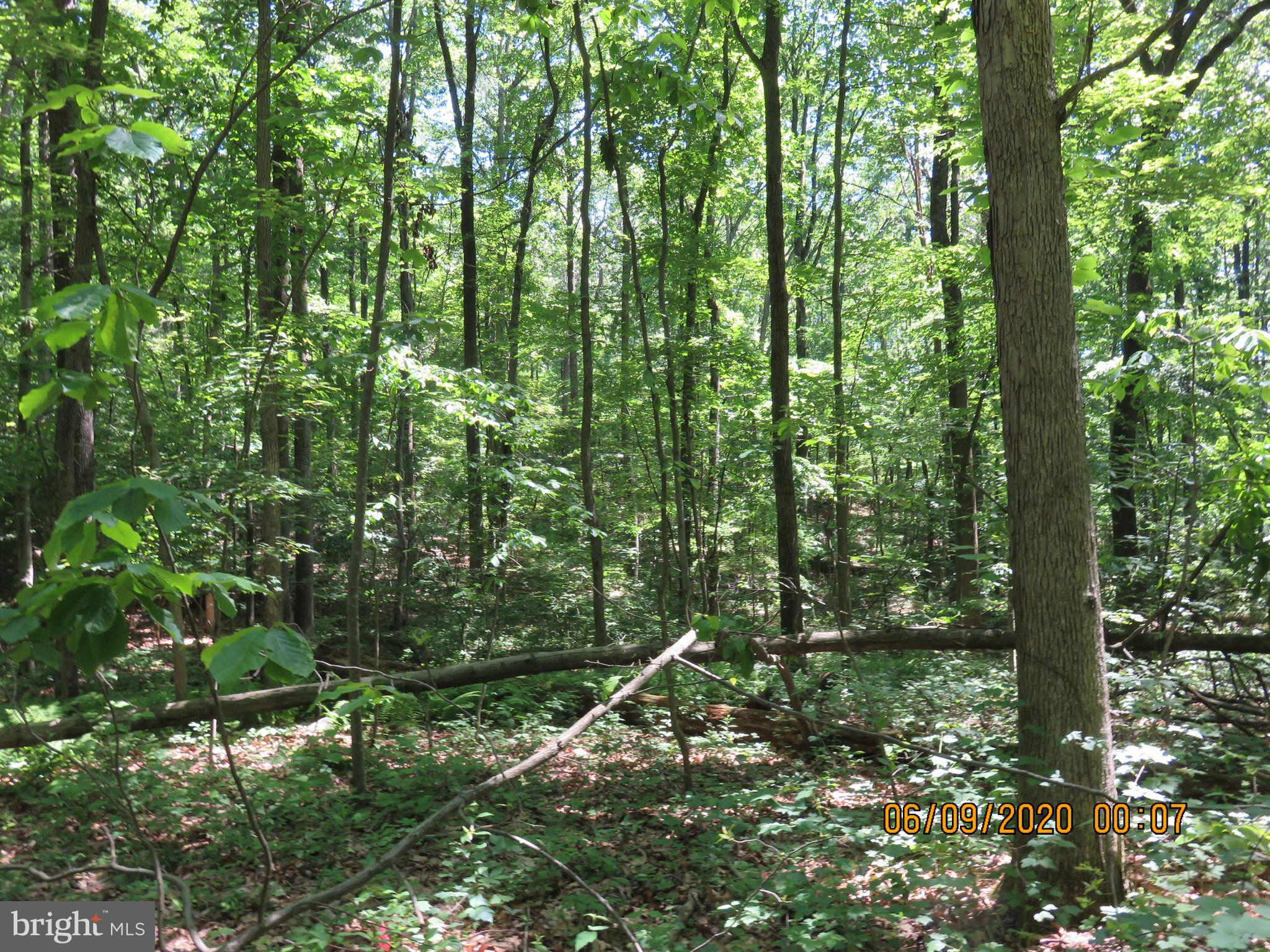 Parcel # 100-a 5200 Parcel Road Dover, PA 17315 - Photo 17 of 35