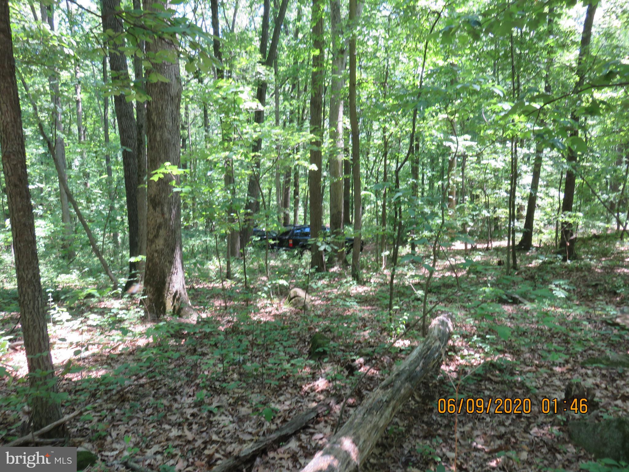 Parcel # 100-a 5200 Parcel Road Dover, PA 17315 - Photo 18 of 35