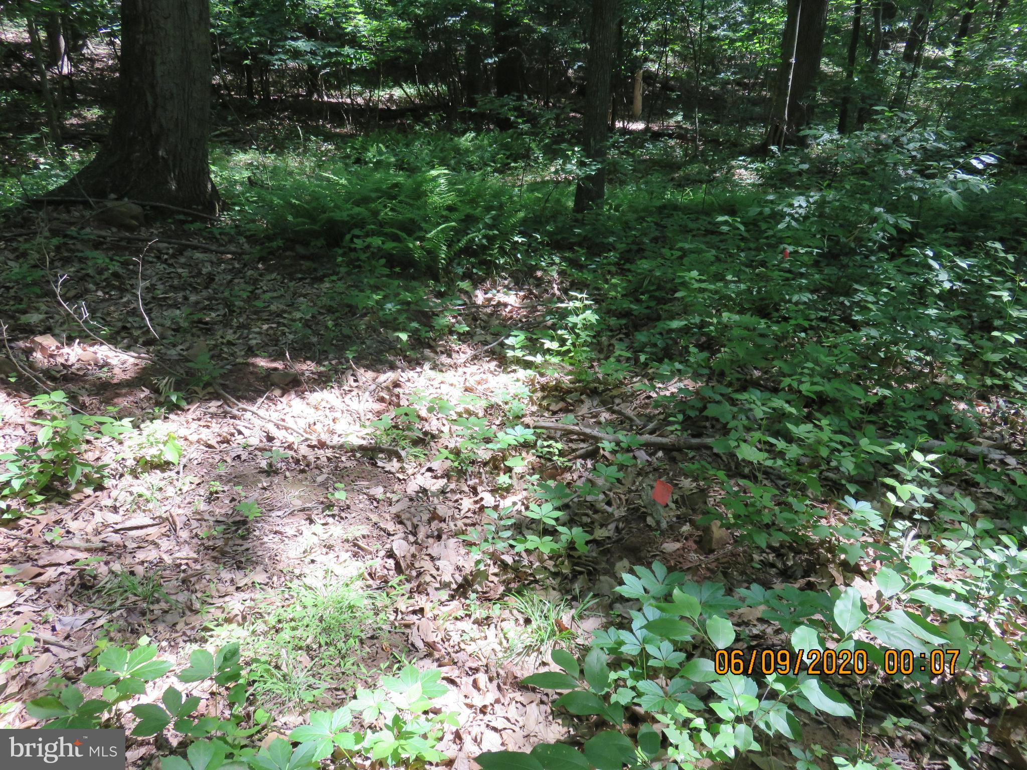 Parcel # 100-a 5200 Parcel Road Dover, PA 17315 - Photo 19 of 35