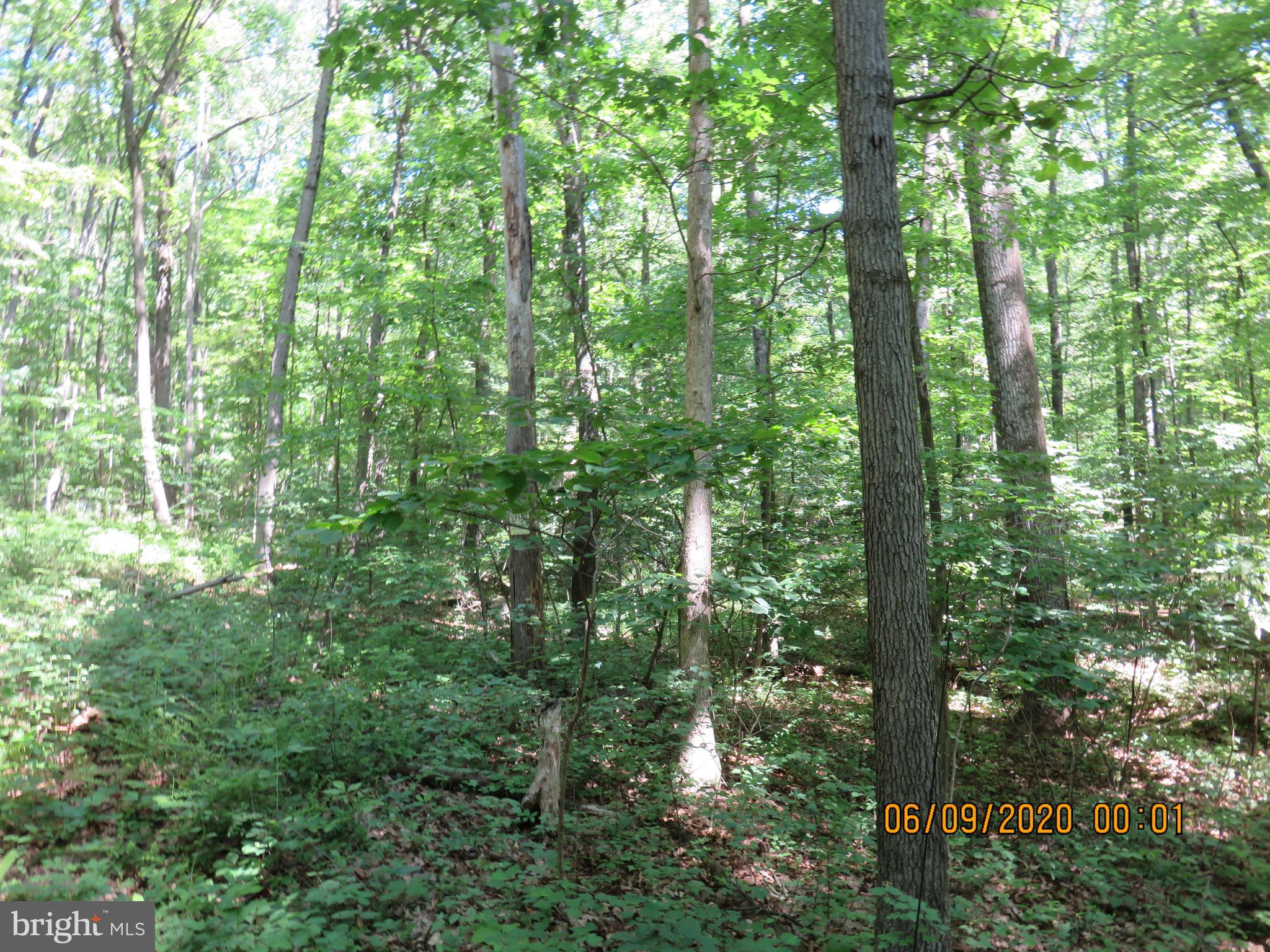 Parcel # 100-a 5200 Parcel Road Dover, PA 17315 - Photo 20 of 35