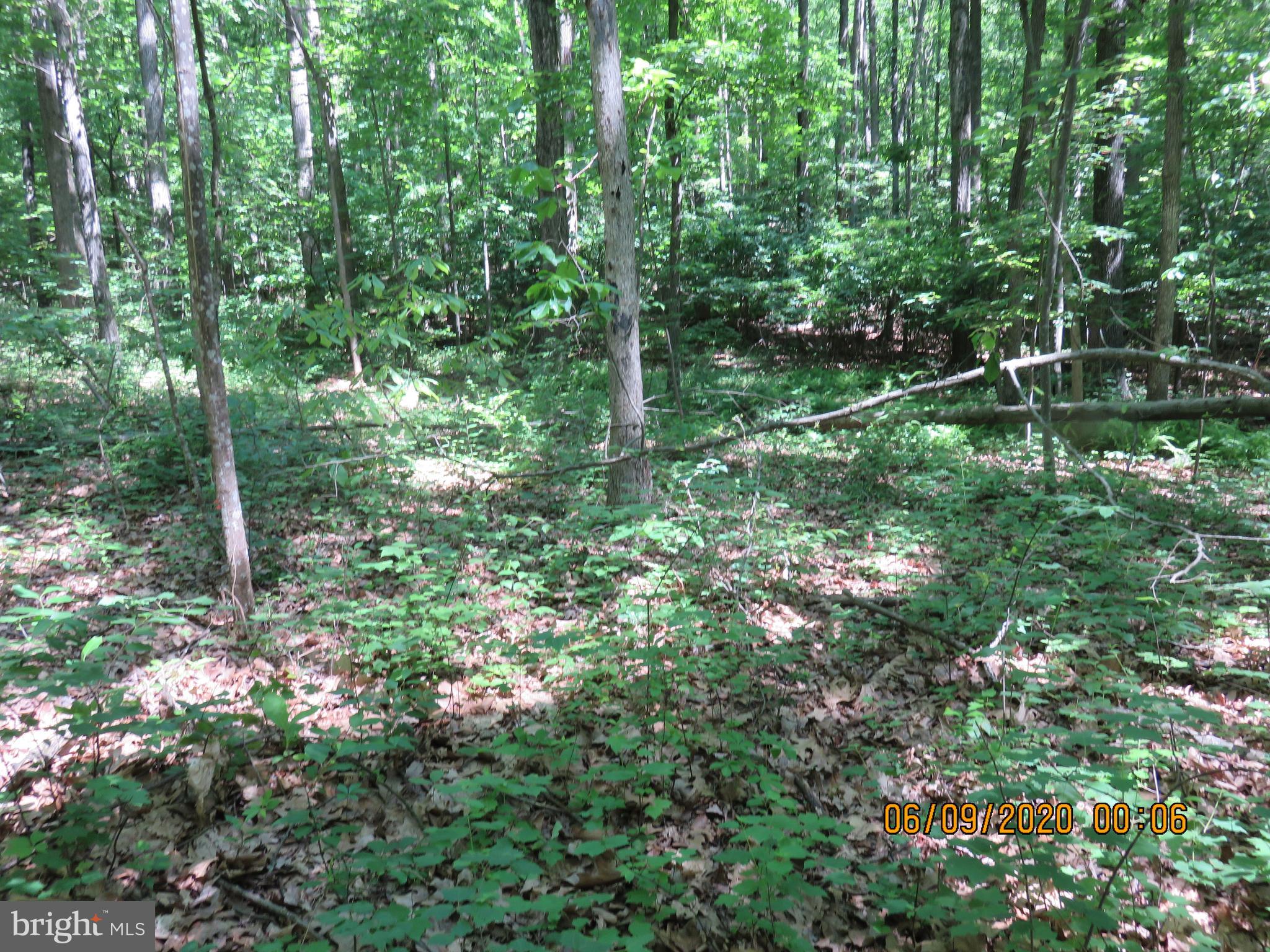 Parcel # 100-a 5200 Parcel Road Dover, PA 17315 - Photo 21 of 35