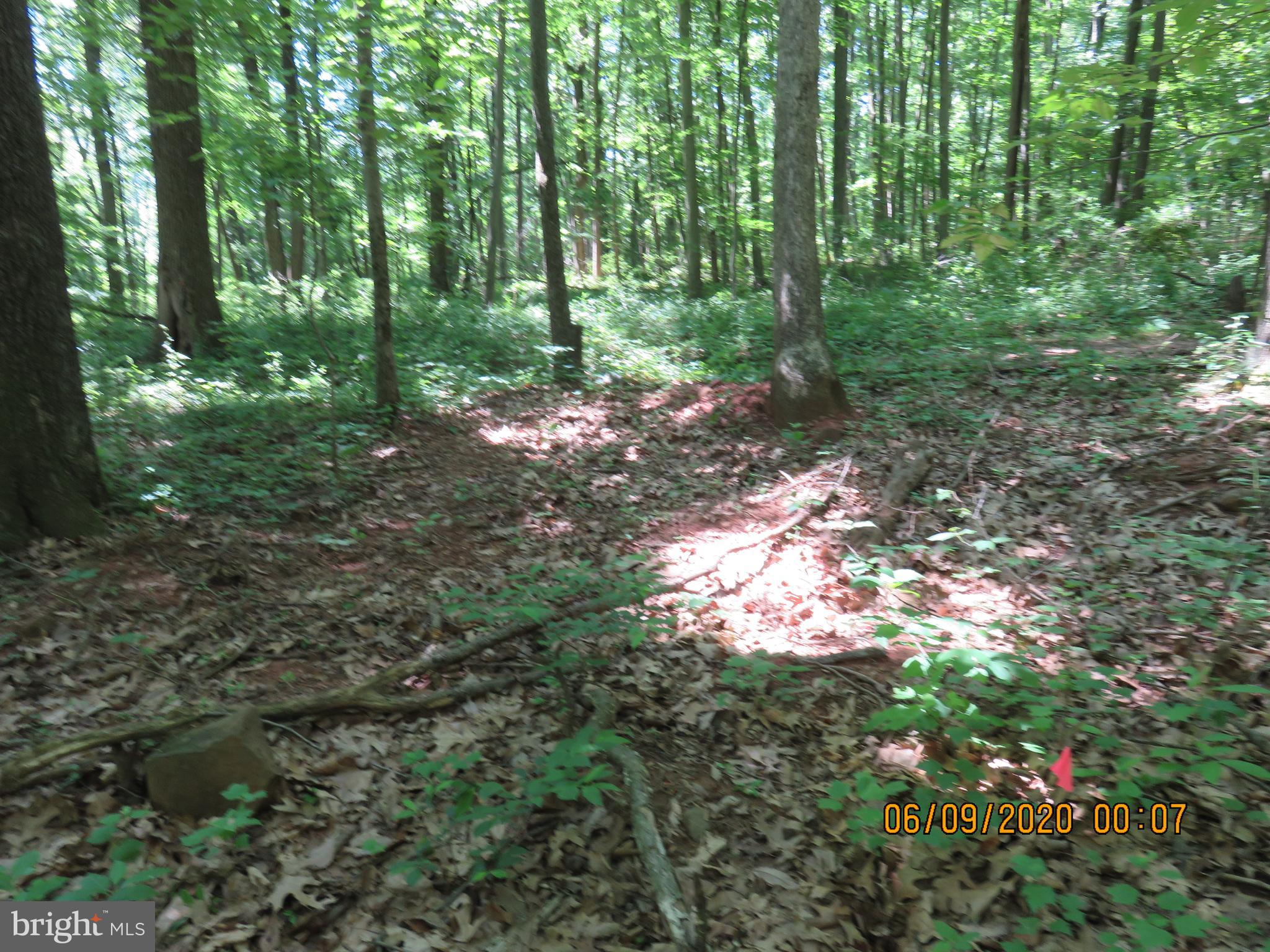 Parcel # 100-a 5200 Parcel Road Dover, PA 17315 - Photo 22 of 35