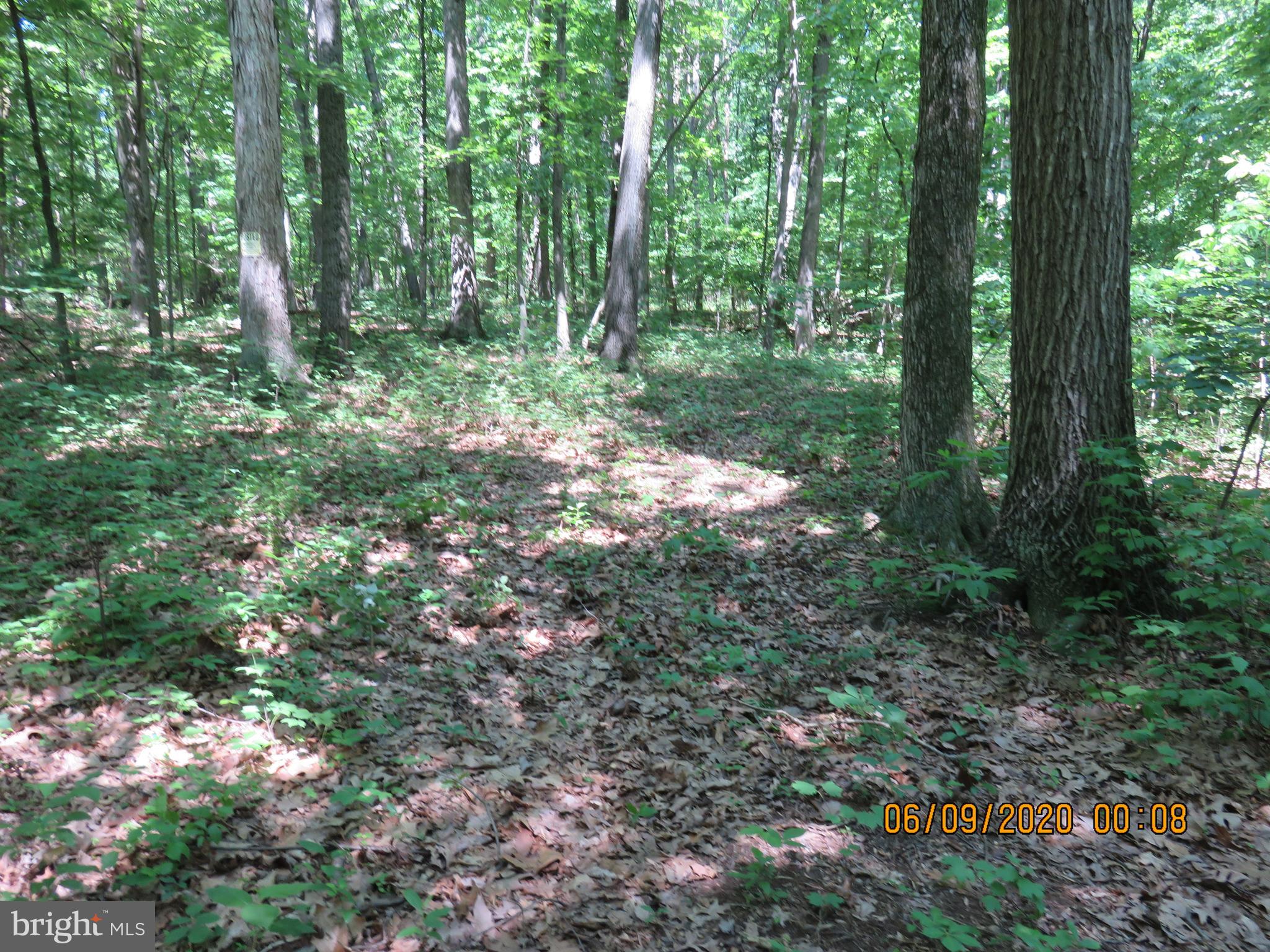 Parcel # 100-a 5200 Parcel Road Dover, PA 17315 - Photo 23 of 35