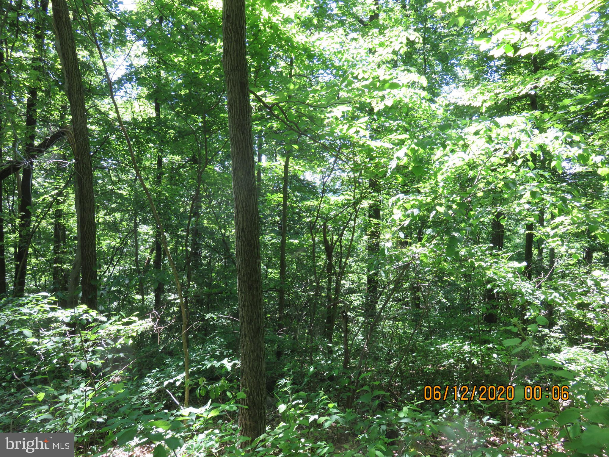 Parcel # 100-a 5200 Parcel Road Dover, PA 17315 - Photo 24 of 35