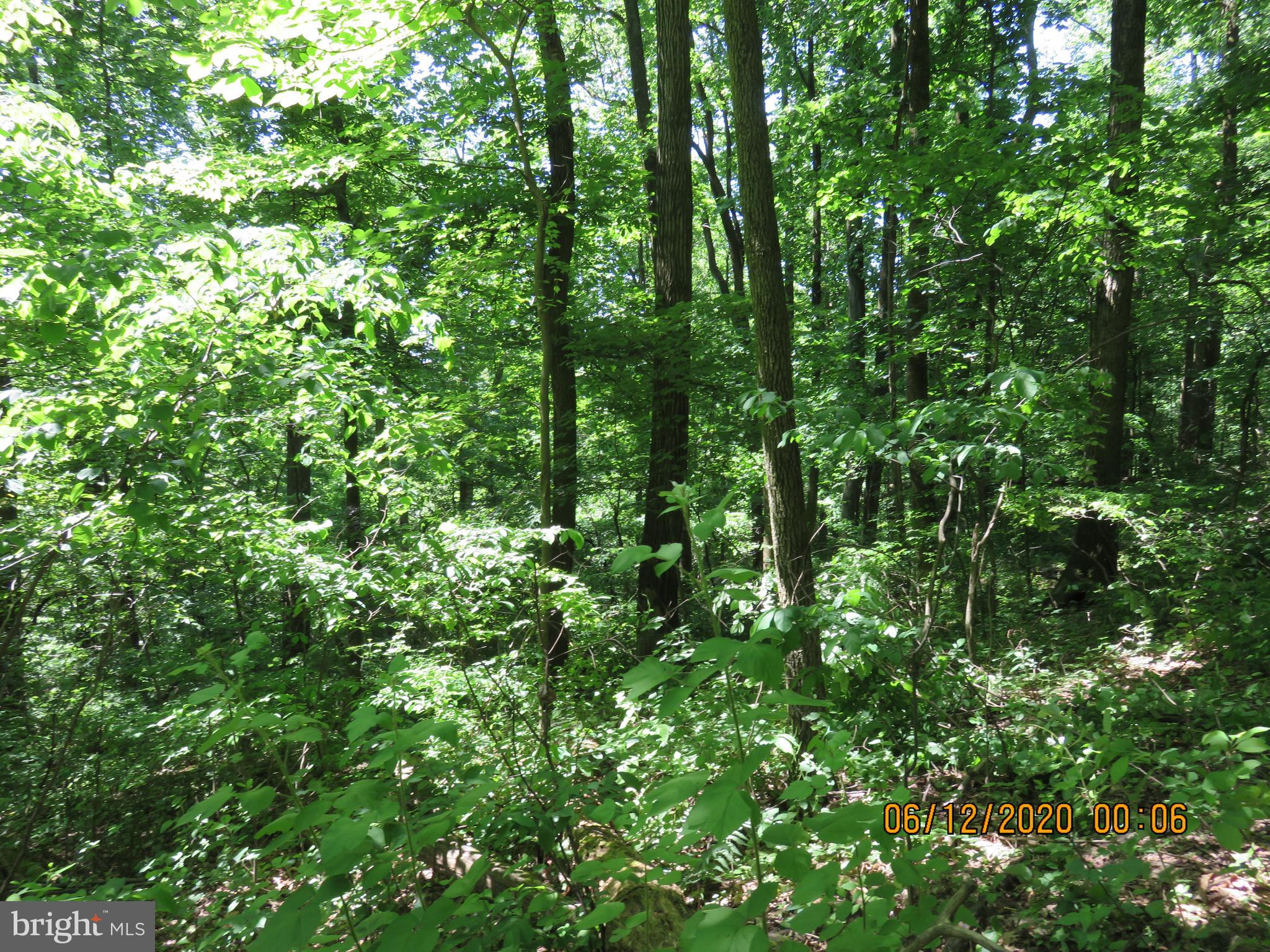 Parcel # 100-a 5200 Parcel Road Dover, PA 17315 - Photo 25 of 35