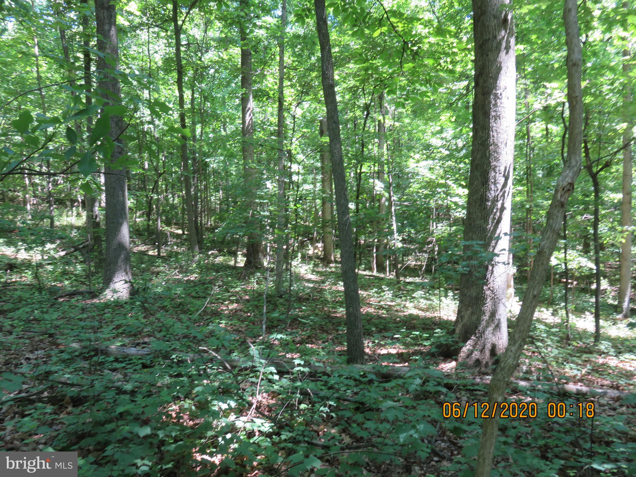 Parcel # 100-a 5200 Parcel Road Dover, PA 17315 - Photo 26 of 35
