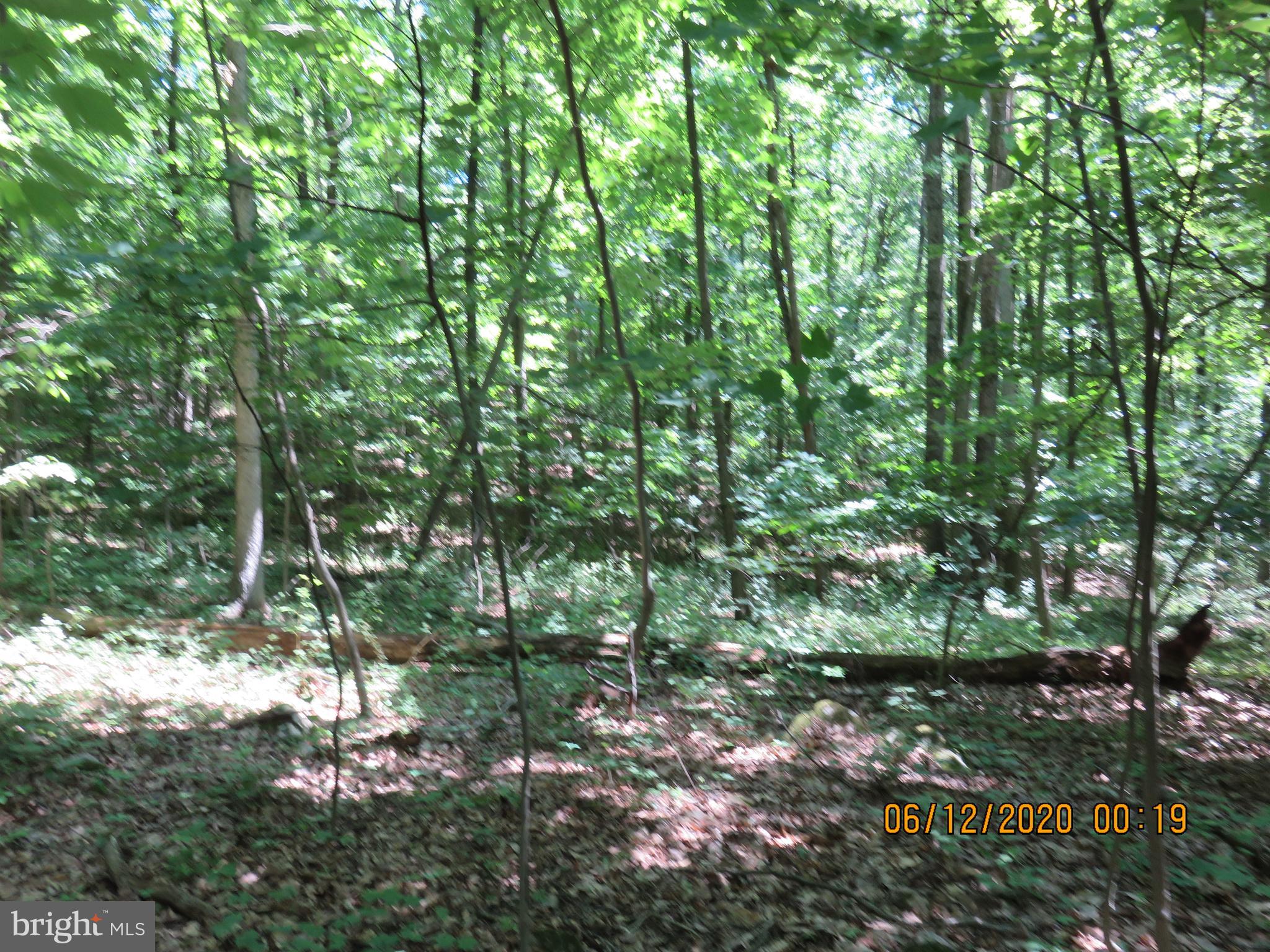 Parcel # 100-a 5200 Parcel Road Dover, PA 17315 - Photo 27 of 35
