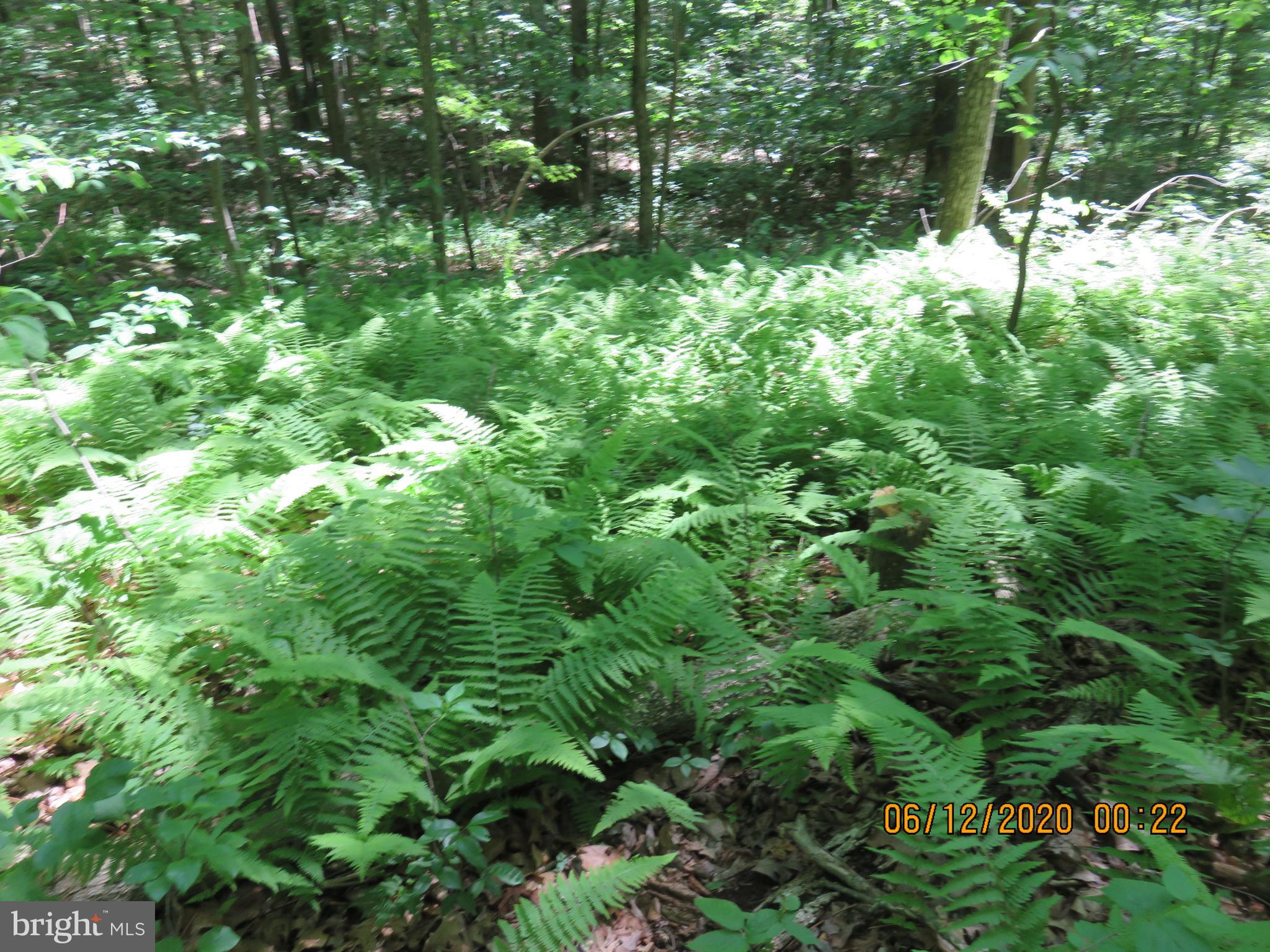 Parcel # 100-a 5200 Parcel Road Dover, PA 17315 - Photo 28 of 35