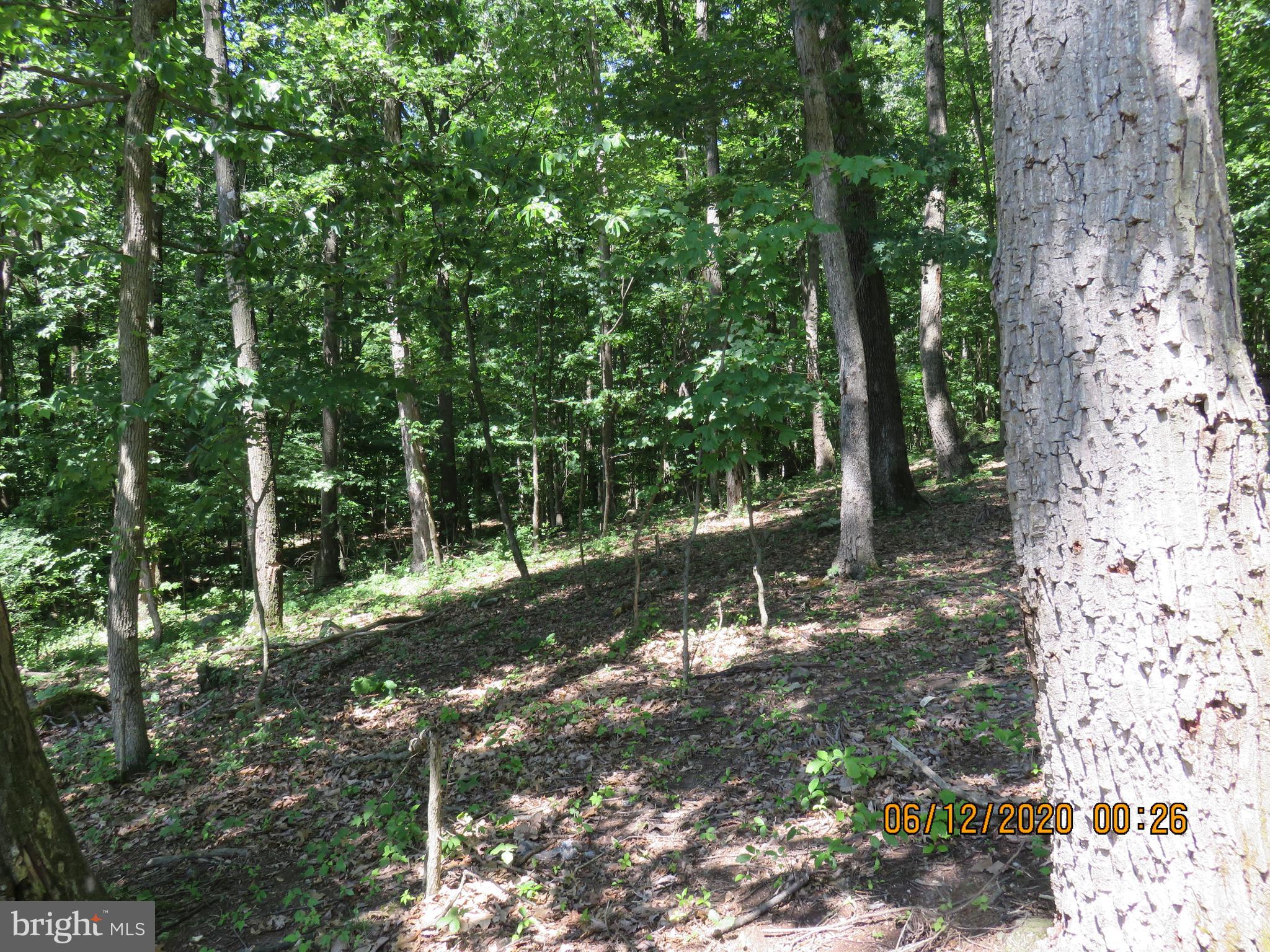 Parcel # 100-a 5200 Parcel Road Dover, PA 17315 - Photo 29 of 35