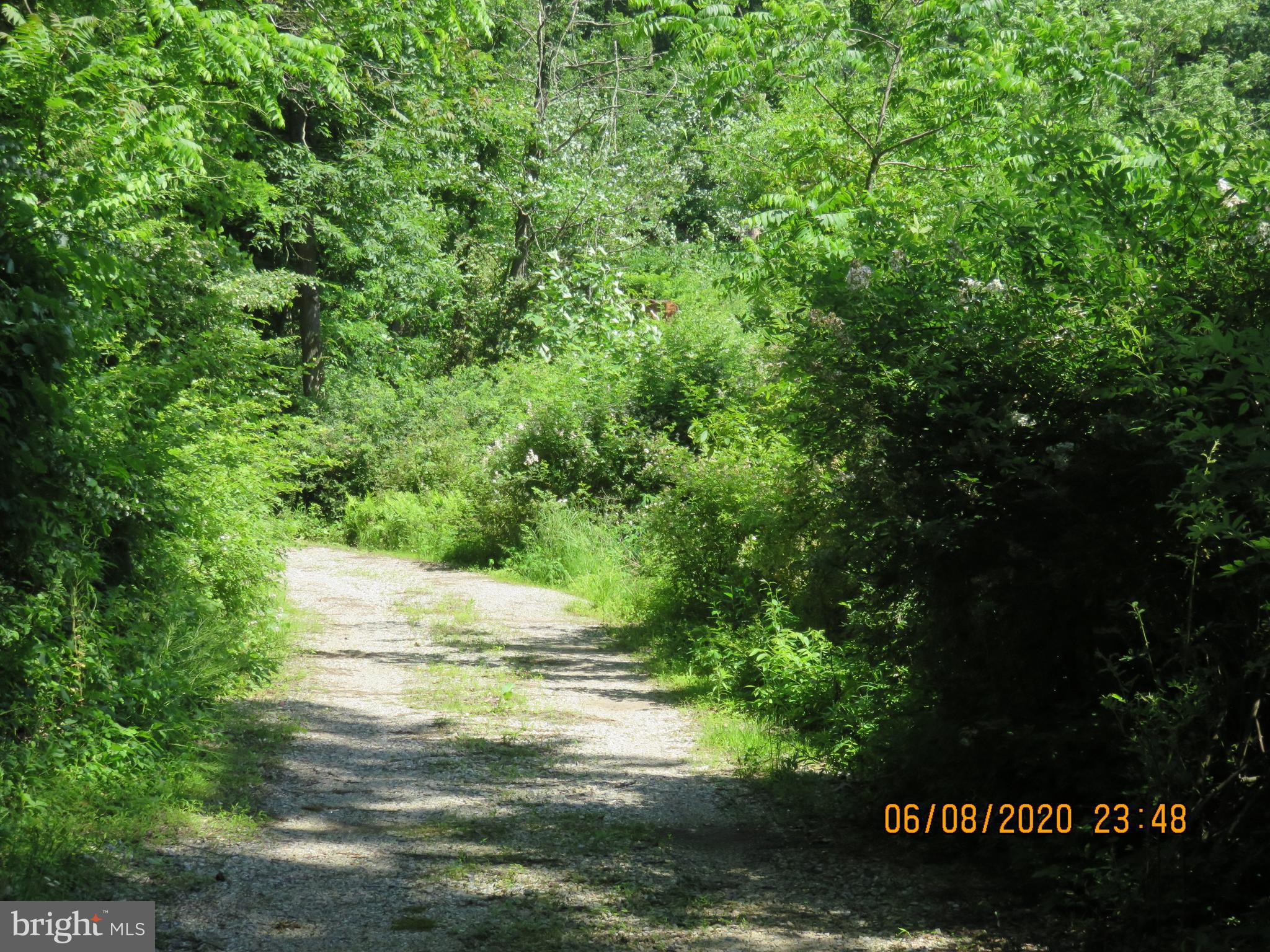 Parcel # 100-a 5200 Parcel Road Dover, PA 17315 - Photo 31 of 35