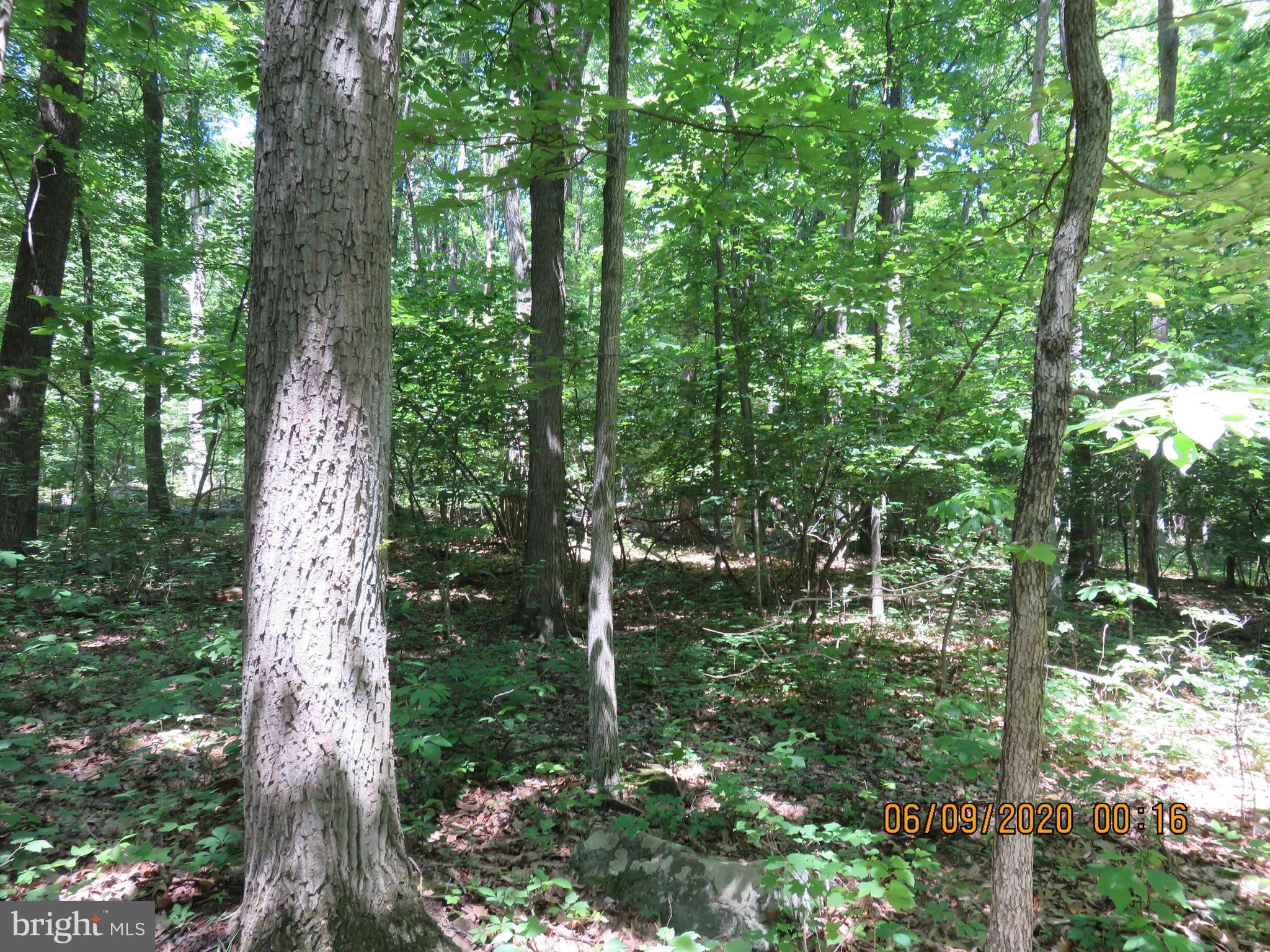 Parcel # 100-a 5200 Parcel Road Dover, PA 17315 - Photo 32 of 35
