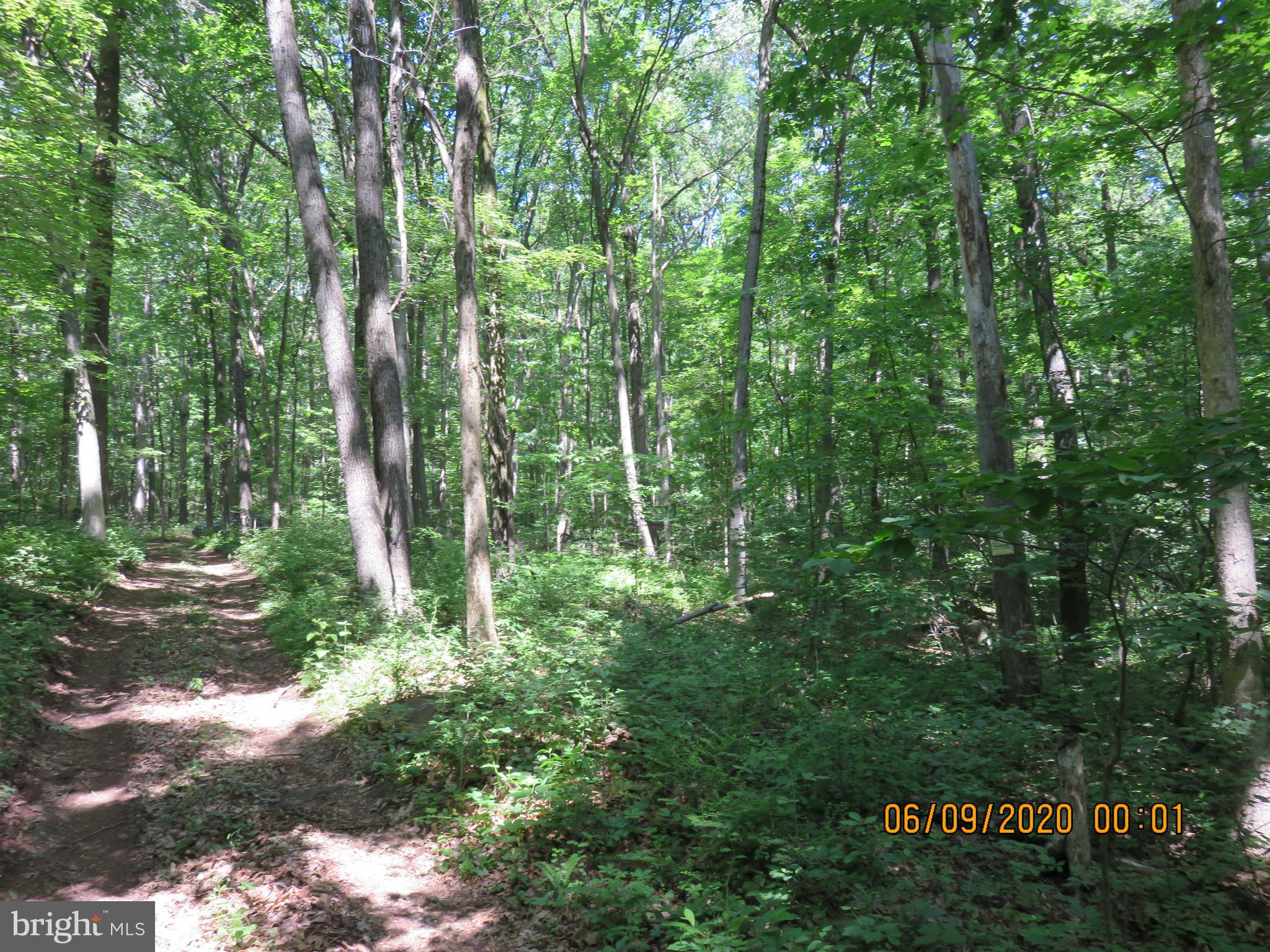 Parcel # 100-a 5200 Parcel Road Dover, PA 17315 - Photo 33 of 35