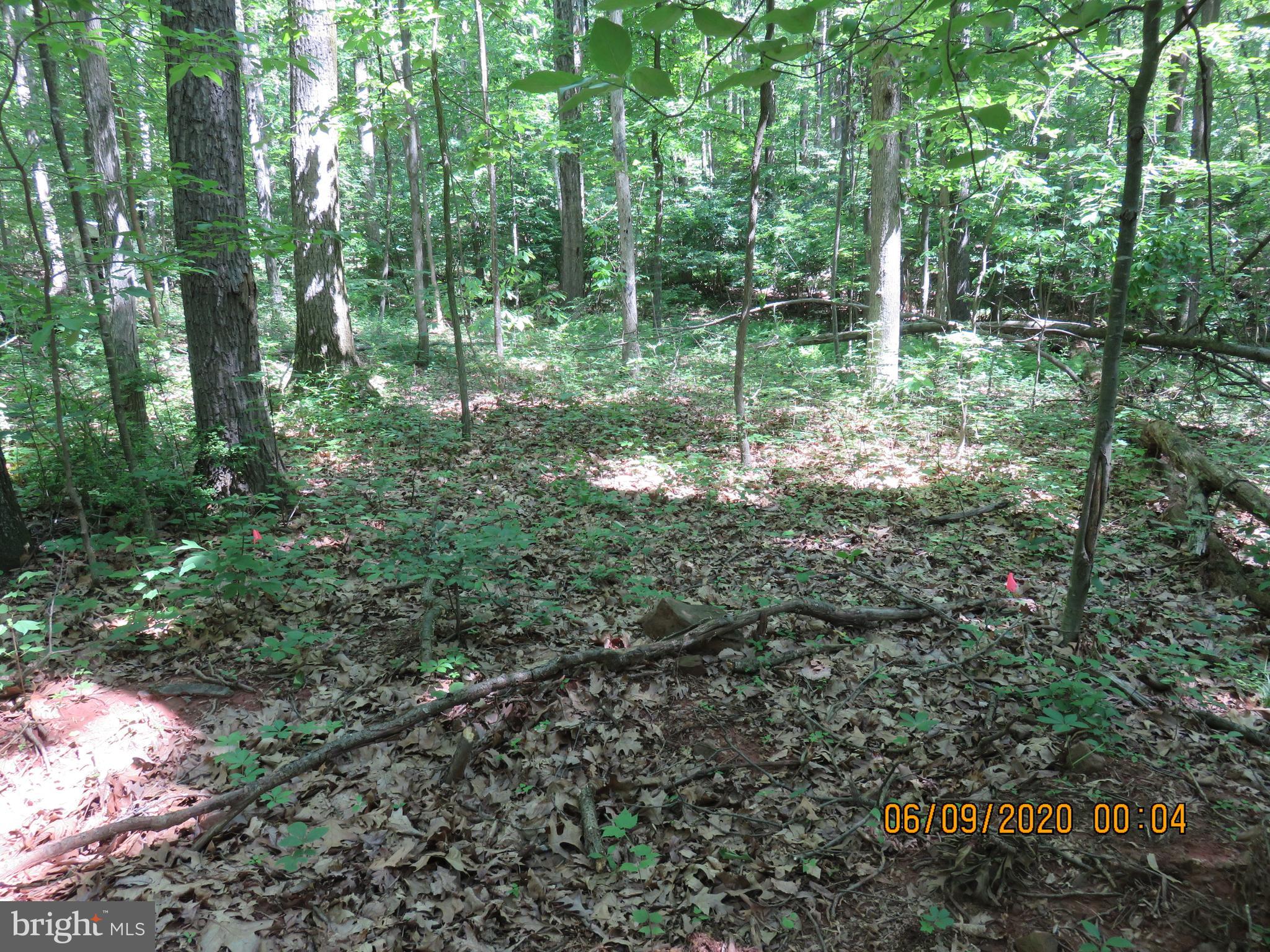 Parcel # 100-a 5200 Parcel Road Dover, PA 17315 - Photo 34 of 35