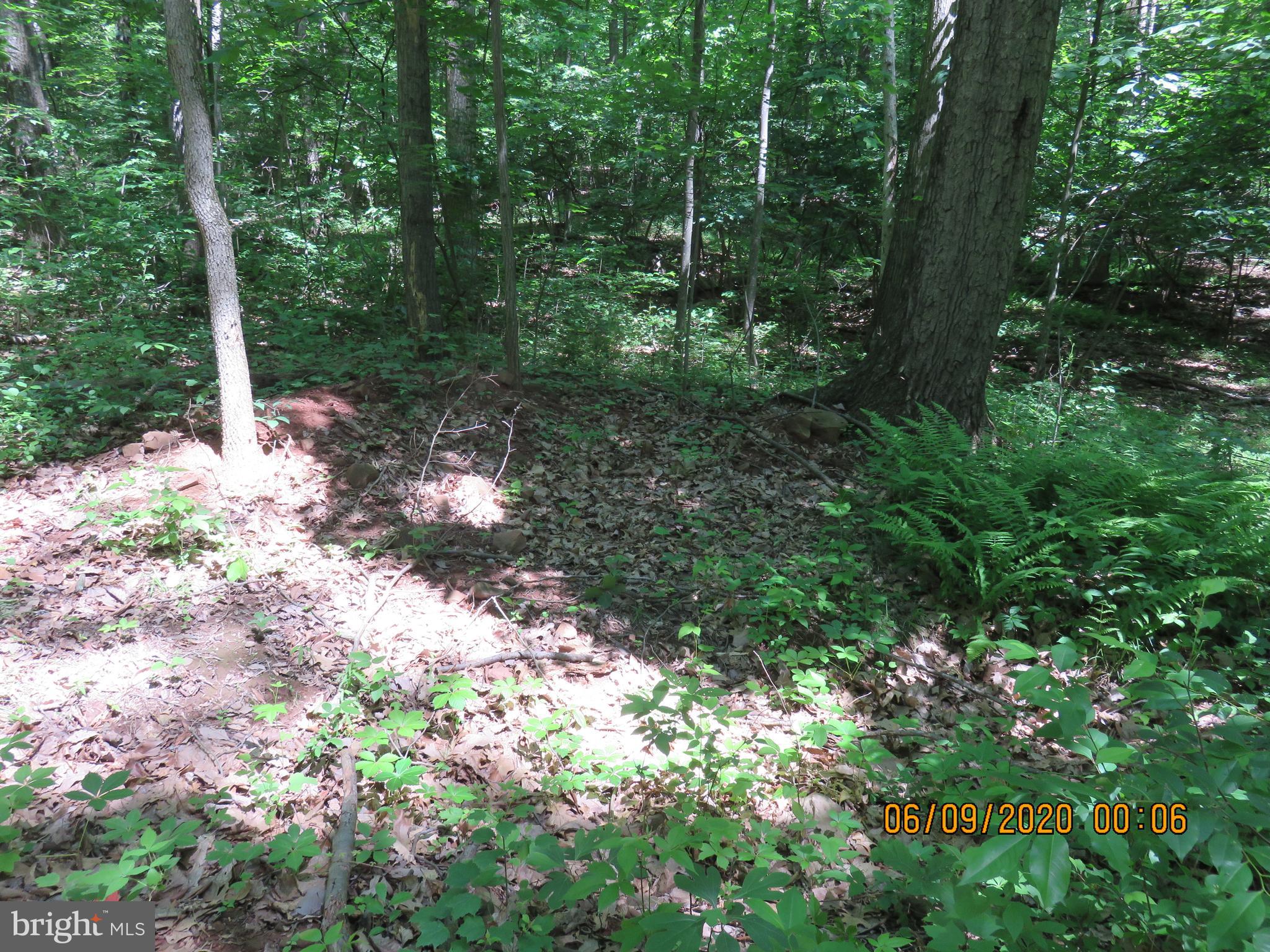 Parcel # 100-a 5200 Parcel Road Dover, PA 17315 - Photo 35 of 35