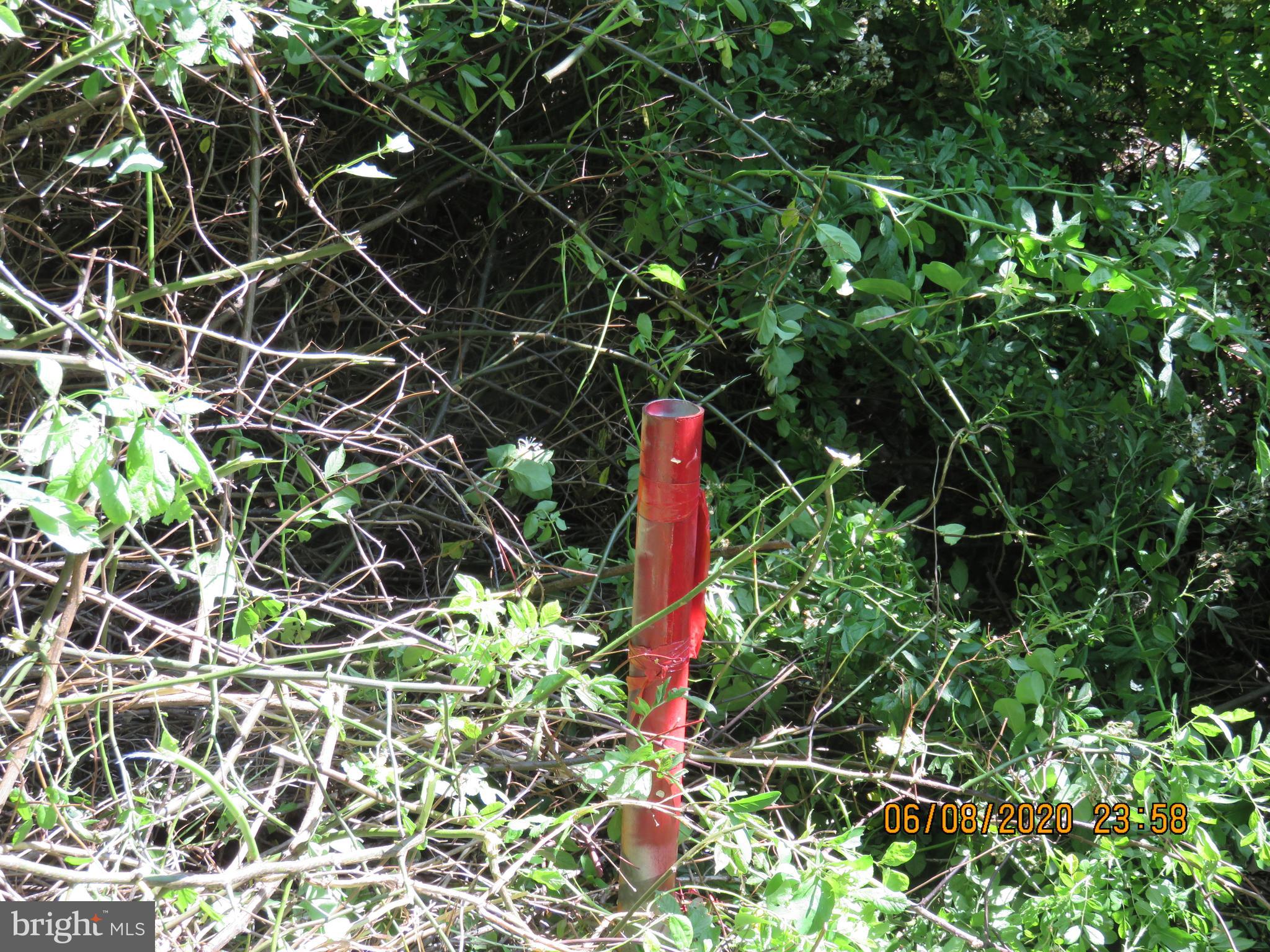 Parcel # 100-a 5200 Parcel Road Dover, PA 17315 - Photo 5 of 35