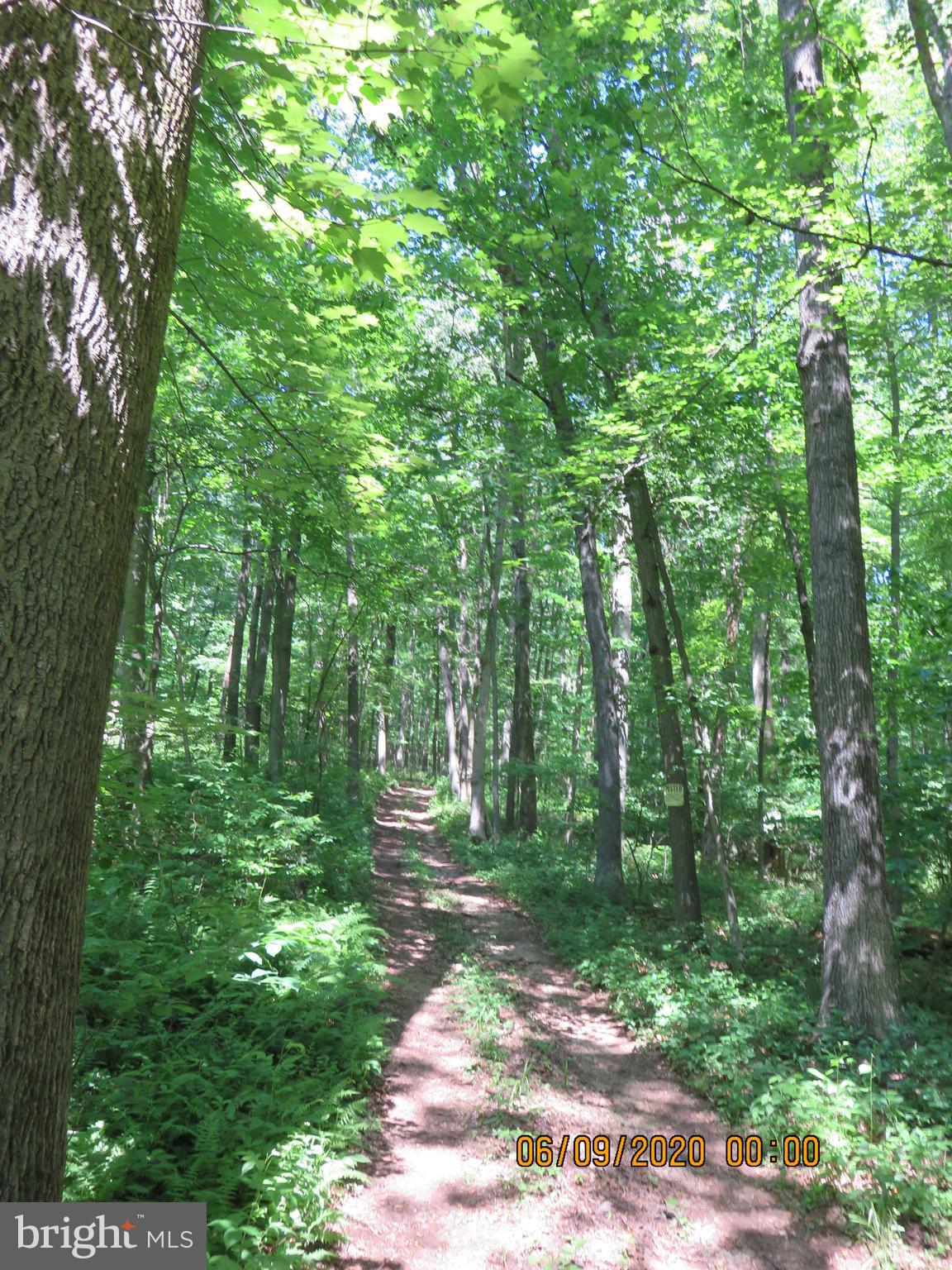 Parcel # 100-a 5200 Parcel Road Dover, PA 17315 - Photo 6 of 35