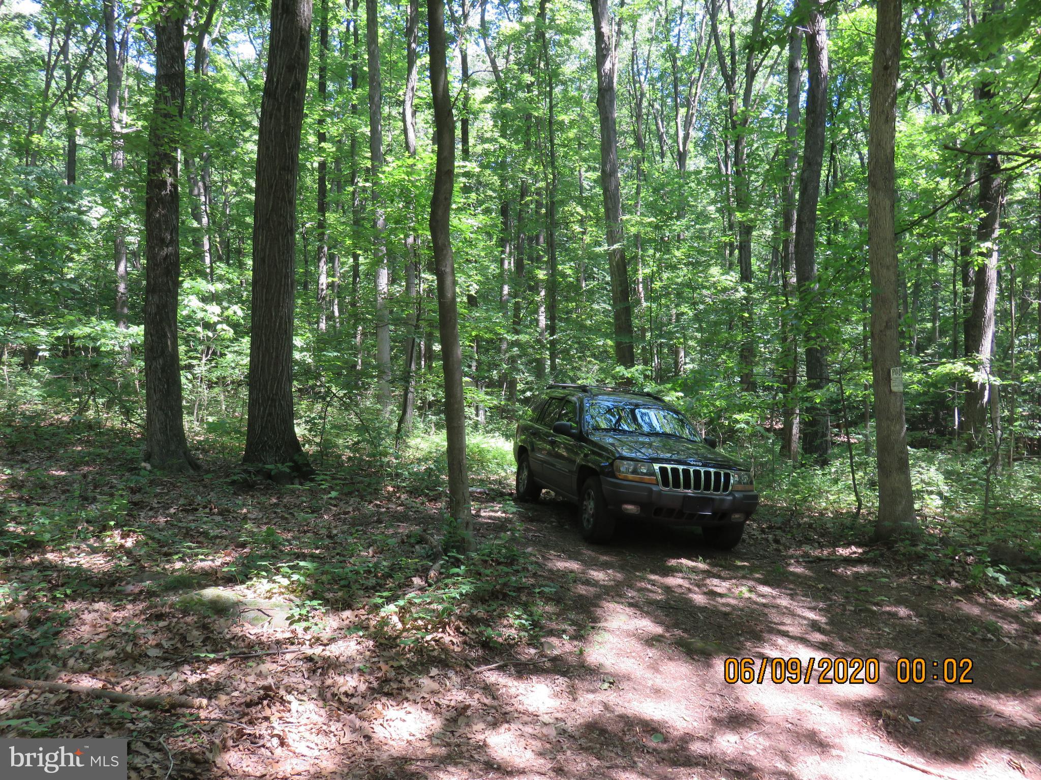 Parcel # 100-a 5200 Parcel Road Dover, PA 17315 - Photo 7 of 35