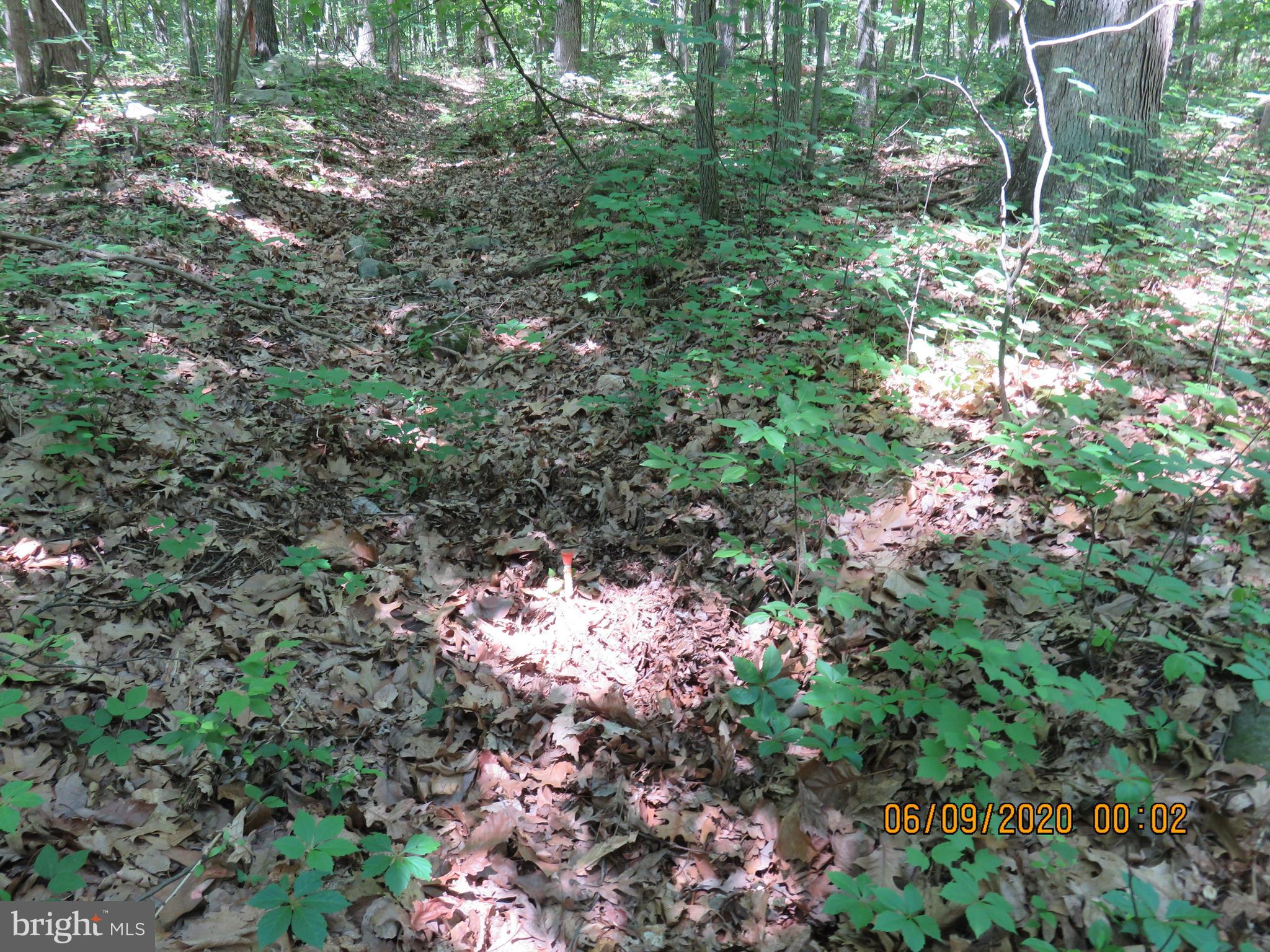 Parcel # 100-a 5200 Parcel Road Dover, PA 17315 - Photo 8 of 35