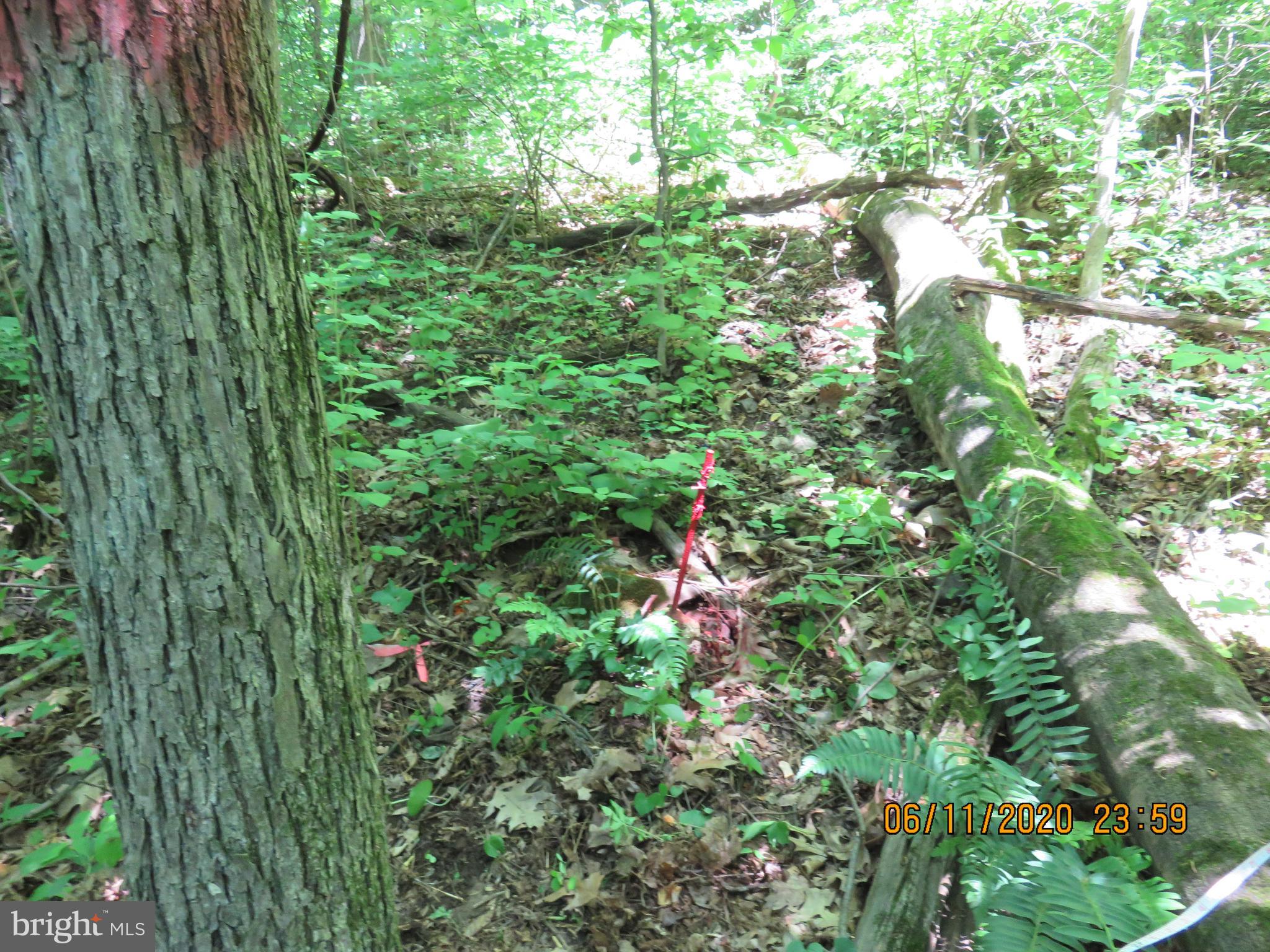 Parcel # 100-a 5200 Parcel Road Dover, PA 17315 - Photo 10 of 35