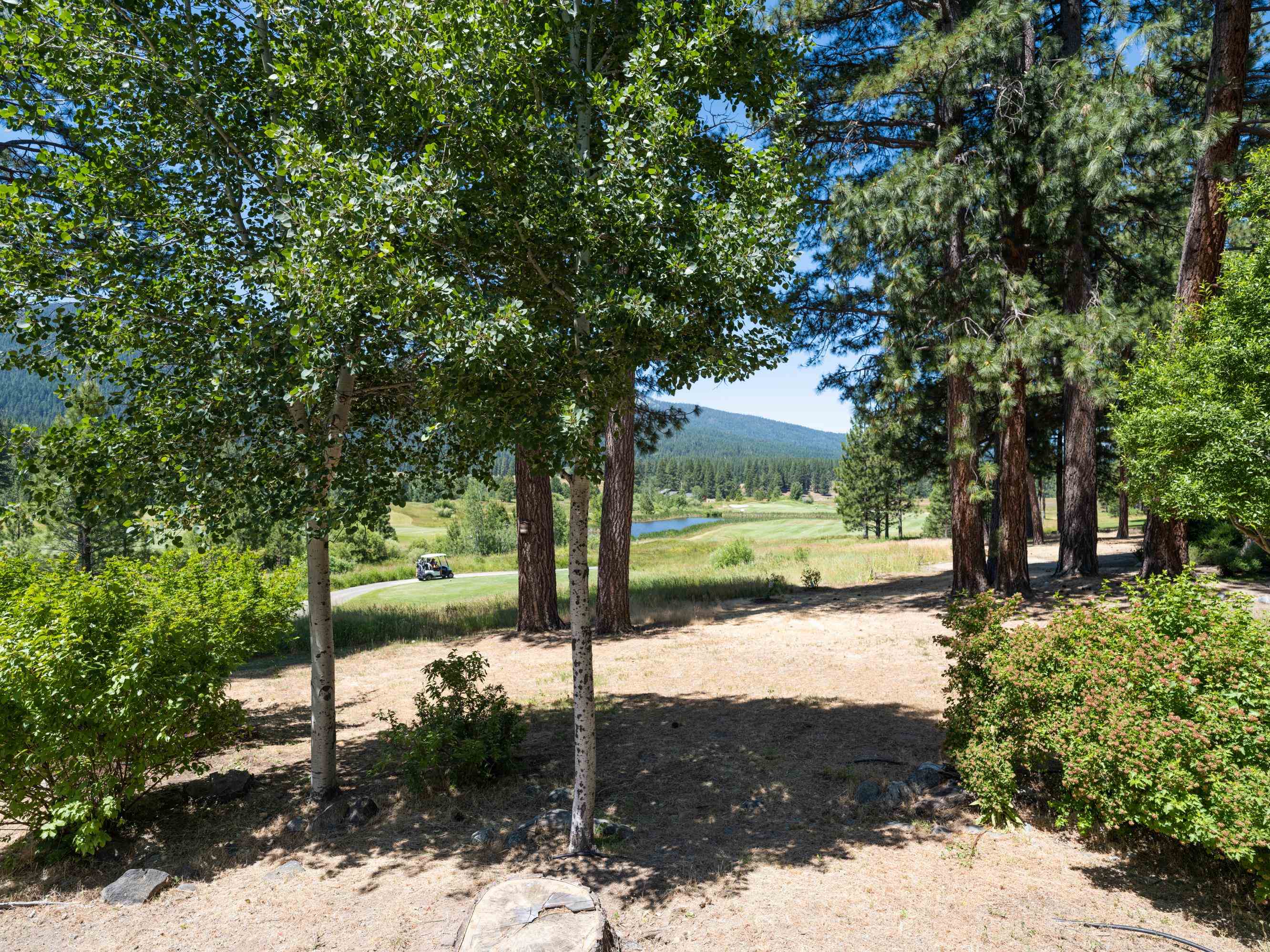 134 Quail View Circle Clio, CA 96106 - Photo 35 of 49 a view of a yard with a tree
