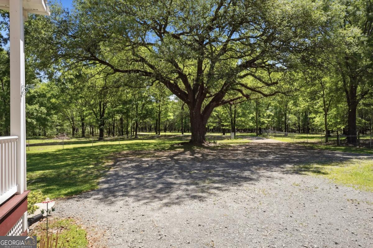 609 Morgan Street Albany, GA 31705 - Photo 4 of 74 a view of a yard with large trees