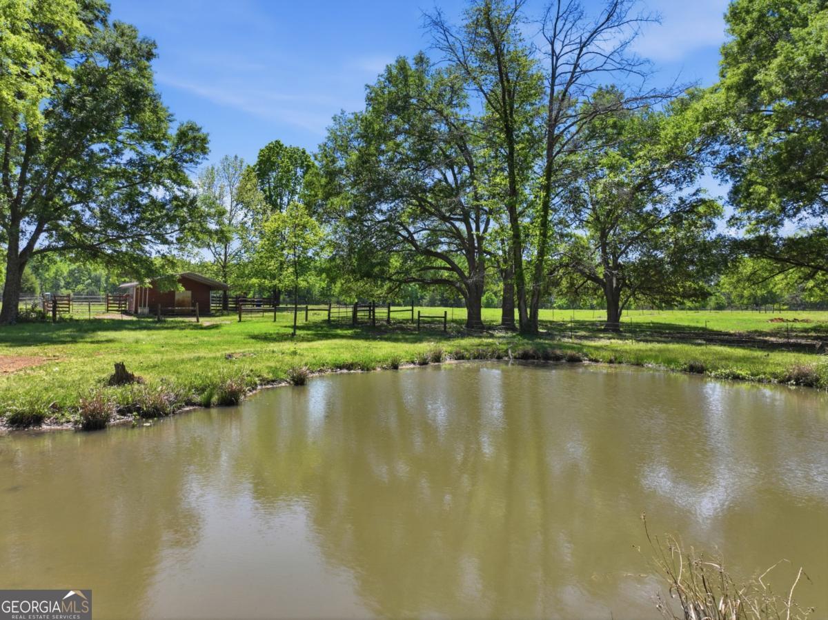 609 Morgan Street Albany, GA 31705 - Photo 50 of 74 a view of a lake with a large trees