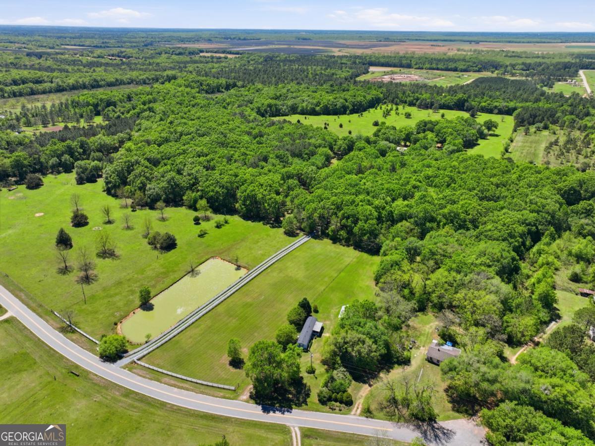 609 Morgan Street Albany, GA 31705 - Photo 73 of 74 an aerial view of a forest
