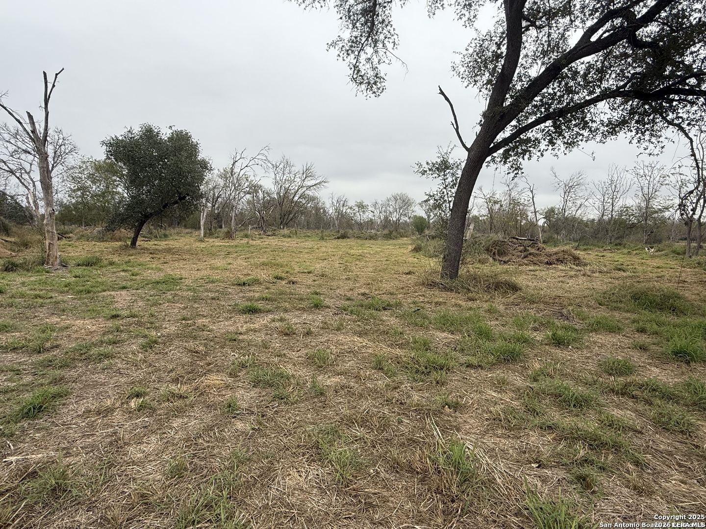 0 Gidley Road Atascosa, TX 78002 - Photo 19 of 29 Gallery Image 19