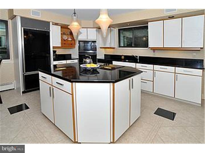 1228 Barrowdale Road Jenkintown, PA 19046 - Photo 10 of 23 Kitchen