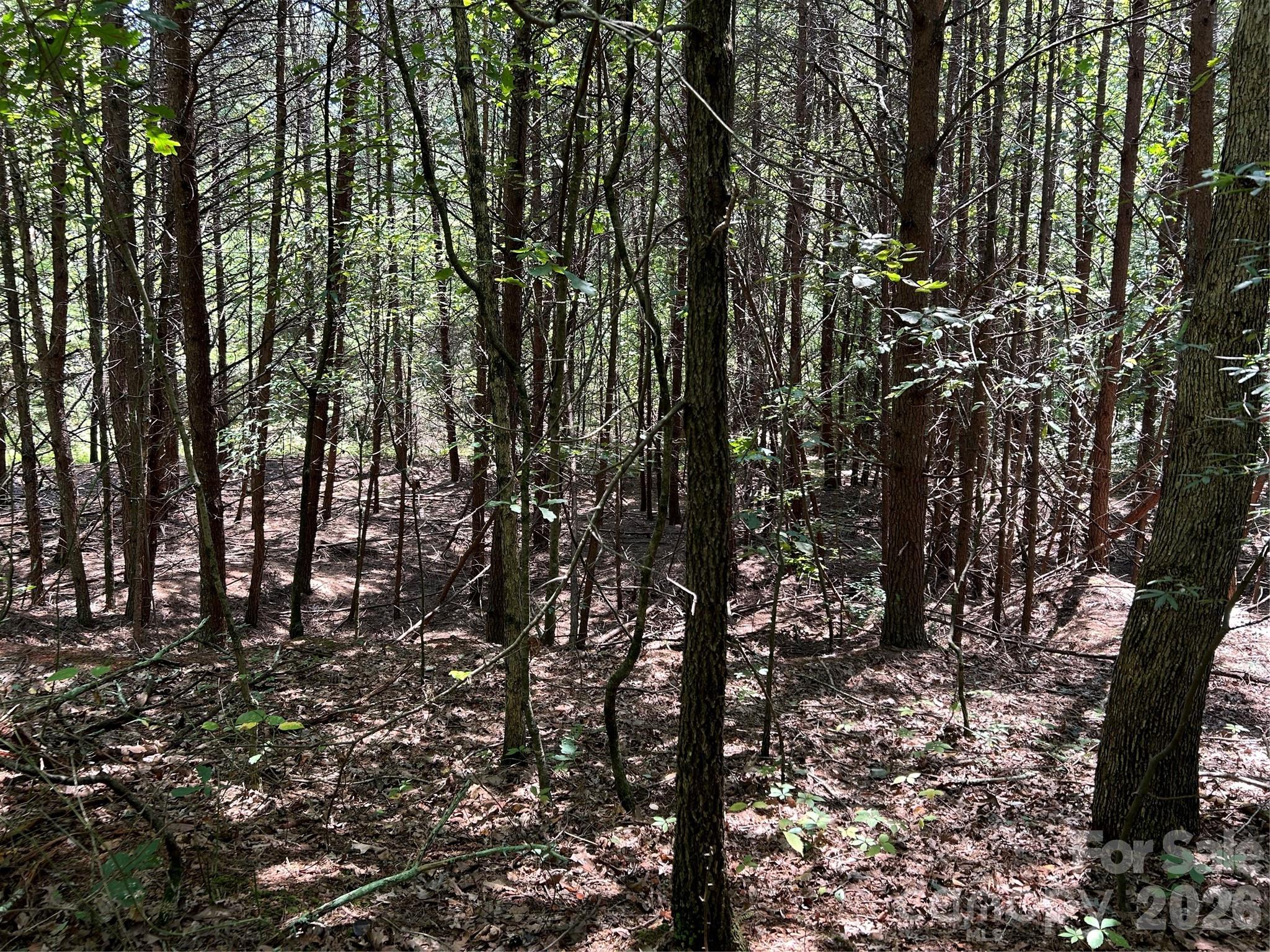 0 Gilbert Road Vale, NC 28168 - Photo 8 of 8