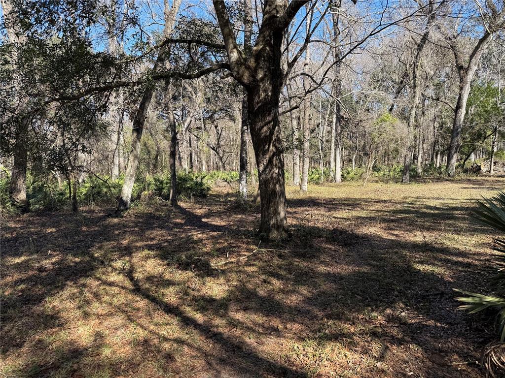 18630 Bradshaw Road Dade City, FL 33523 - Photo 40 of 43 a view of outdoor space with trees