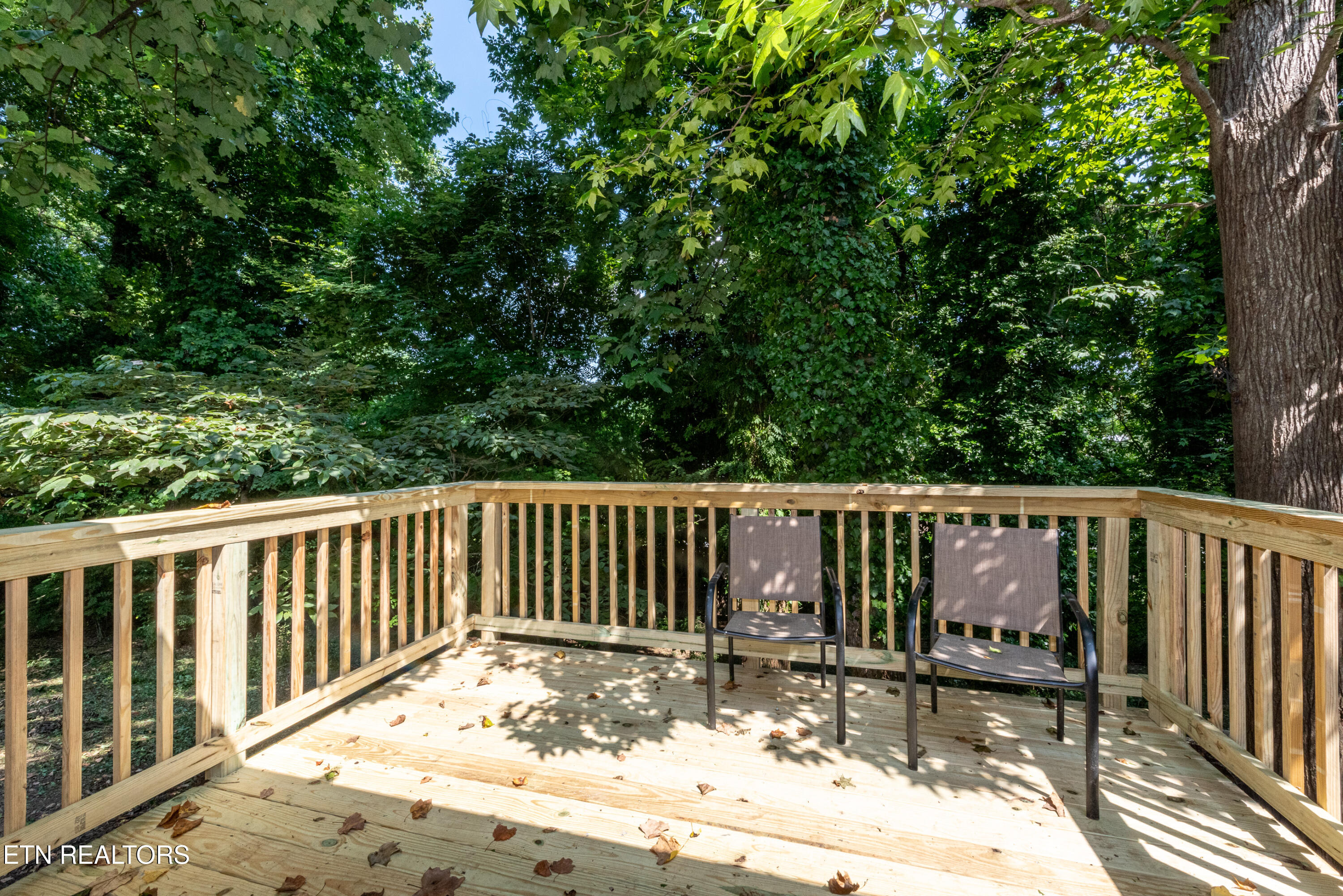 2839 Rifle Range Drive Knoxville, TN 37918 - Photo 23 of 31 Deck off BR