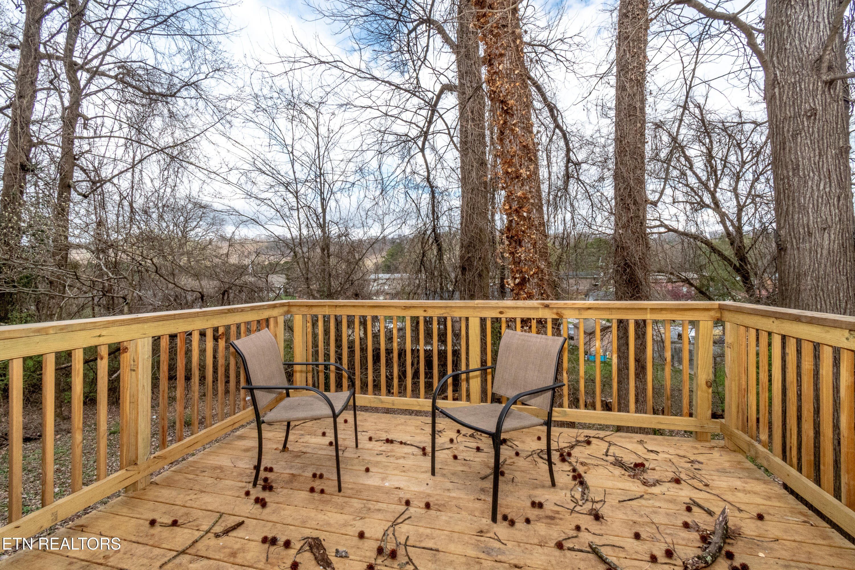 2839 Rifle Range Drive Knoxville, TN 37918 - Photo 4 of 31 Lovely outdoor space