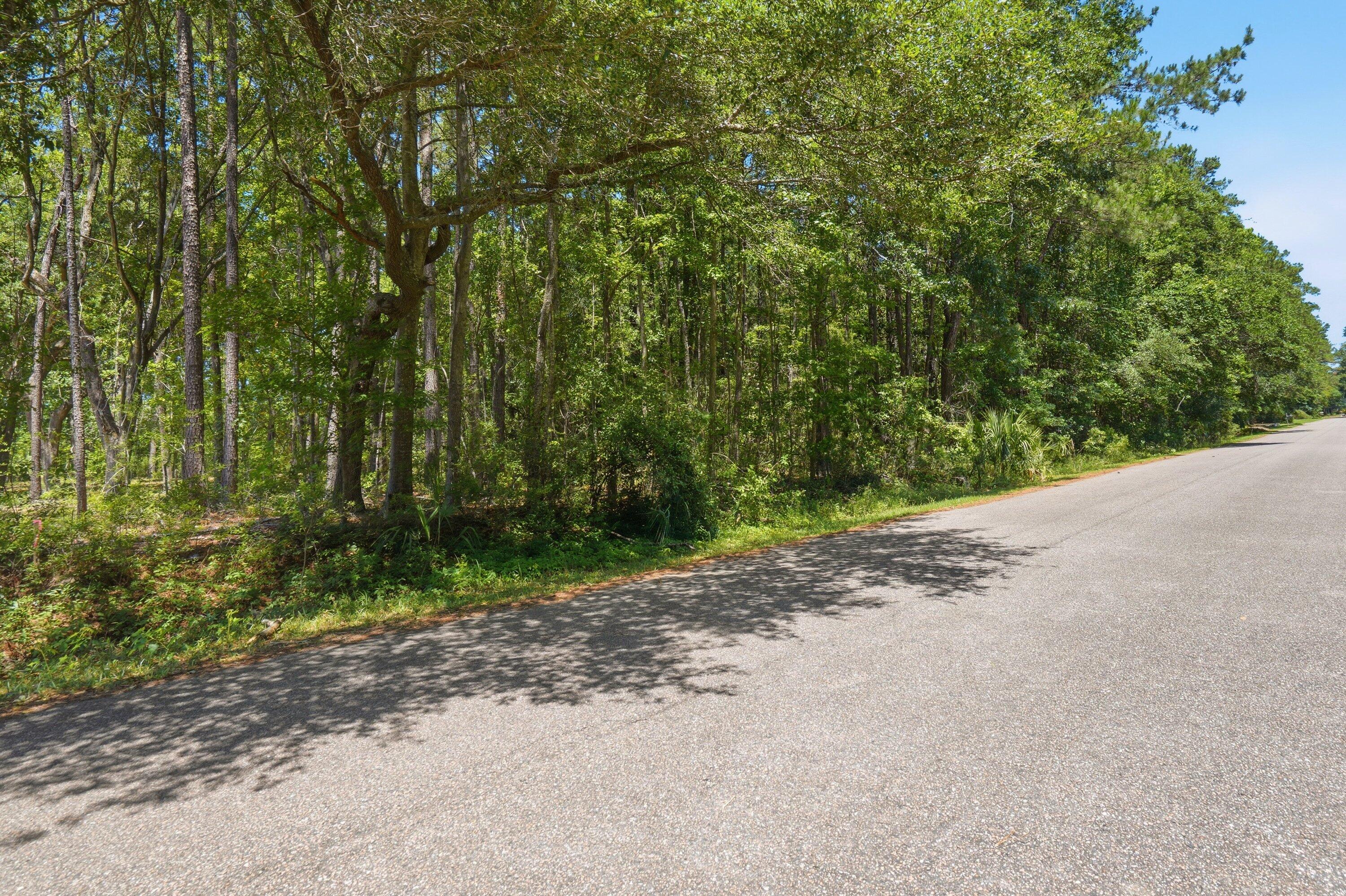 6023 Postell Drive Ravenel, SC 29470 - Photo 16 of 19