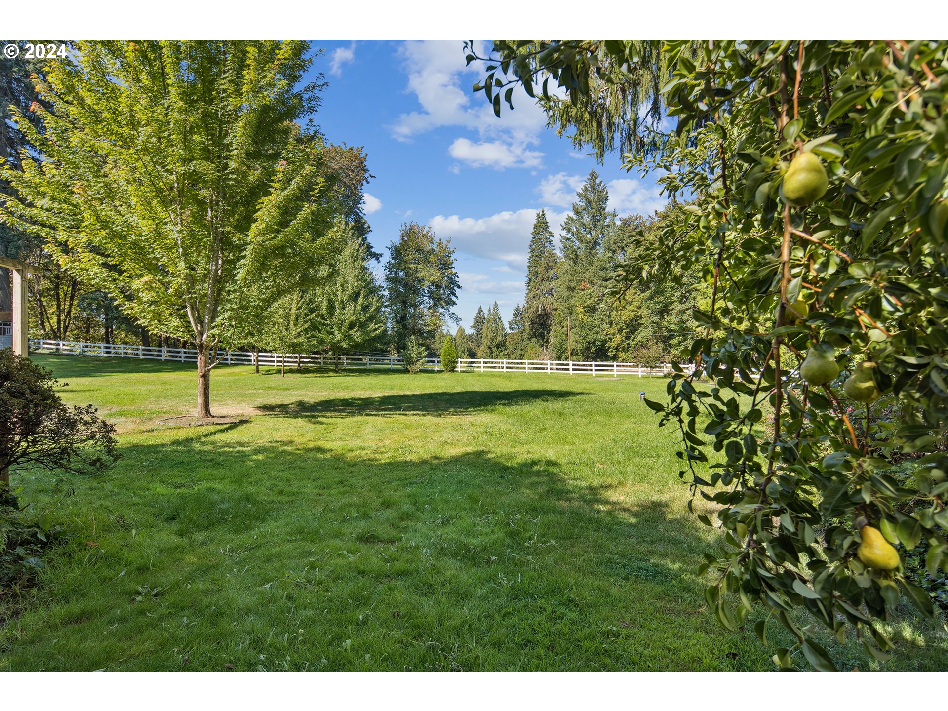 21545 Southwest Johnson Road West Linn, OR 97068 - Photo 36 of 43 a view of a golf course with a lake