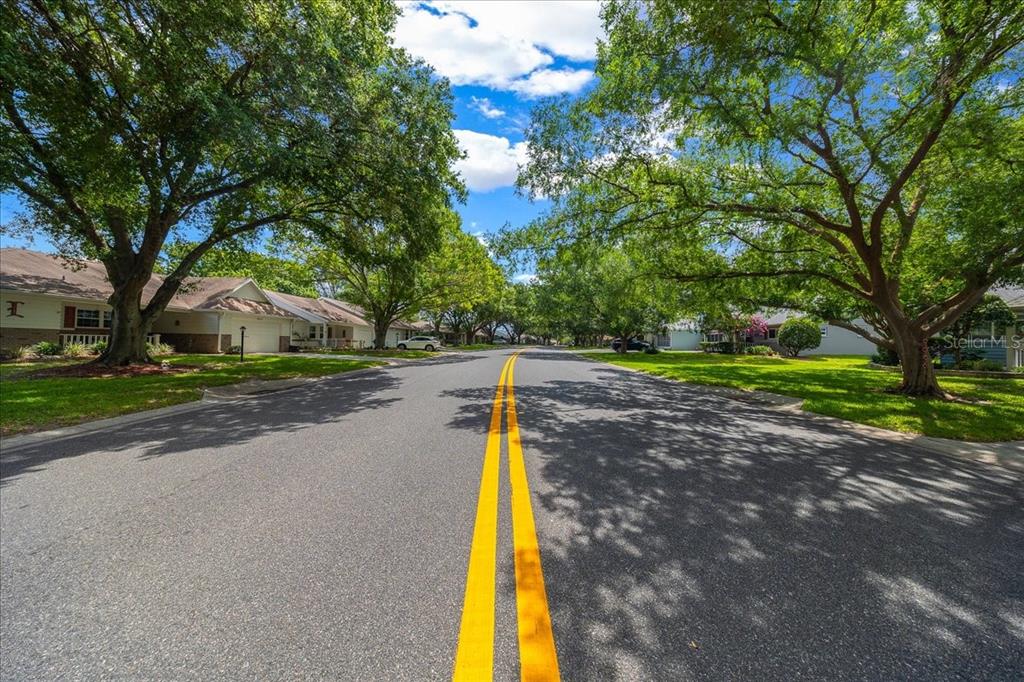 8720 Southwest 90th Street, Unit A Ocala, FL 34481 - Photo 49 of 71 a view of a park with large trees