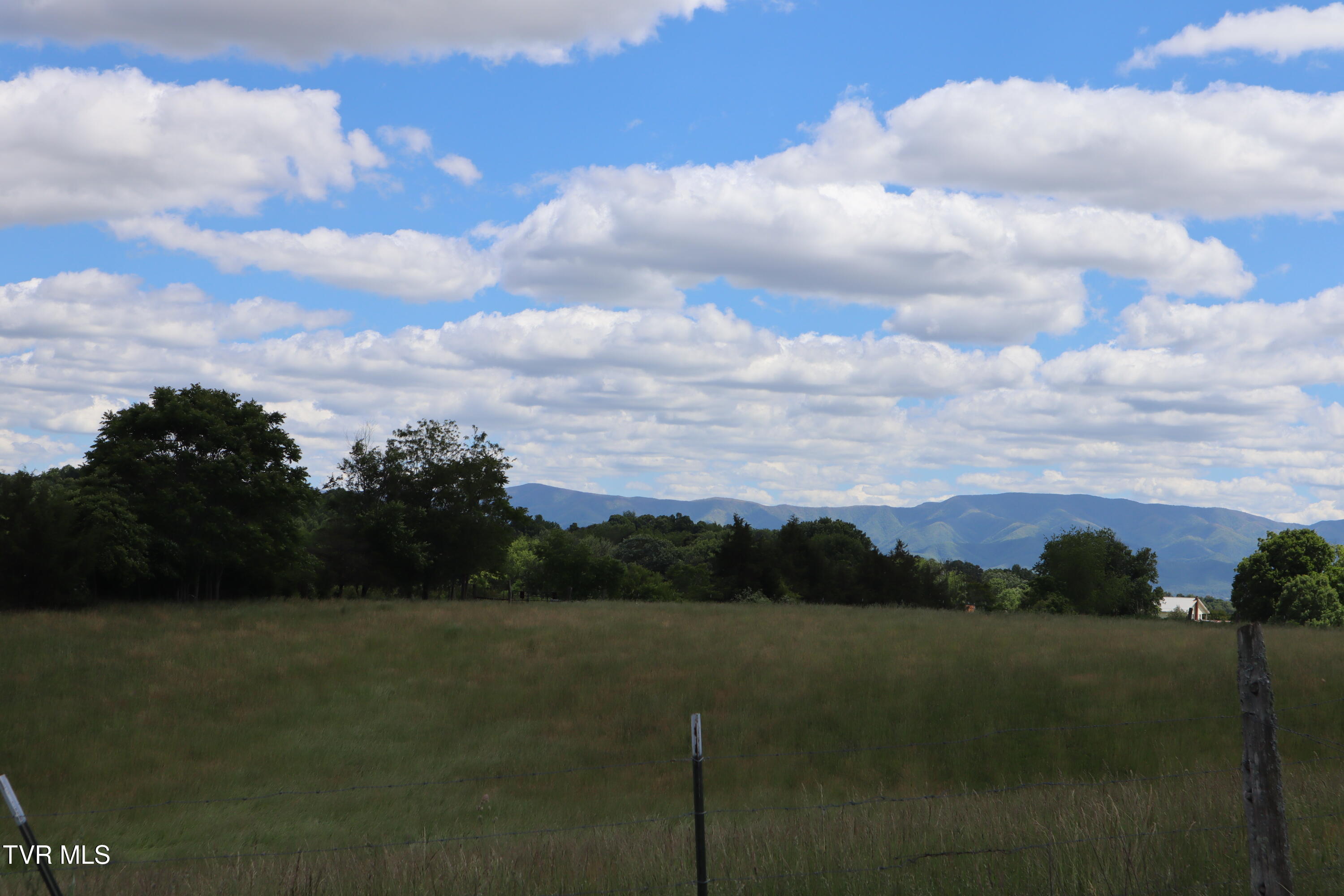 9170 Old Stage Road, Unit 2 Limestone, TN 37681 - Photo 9 of 15 IMG_0049
