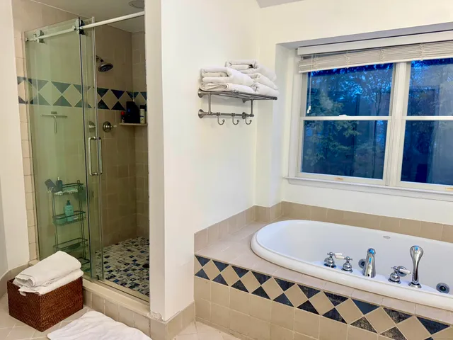 a bathroom with a bathtub and a shower