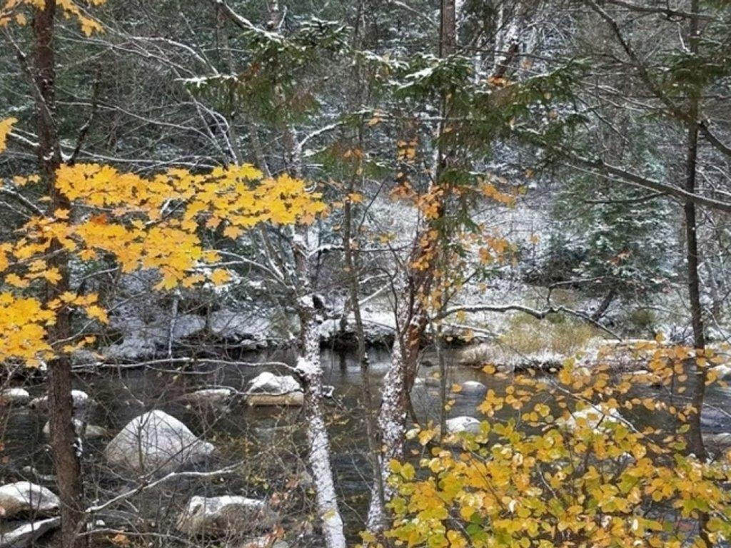 5 Wing Road Bethlehem, NH 03574 - Photo 2 of 12