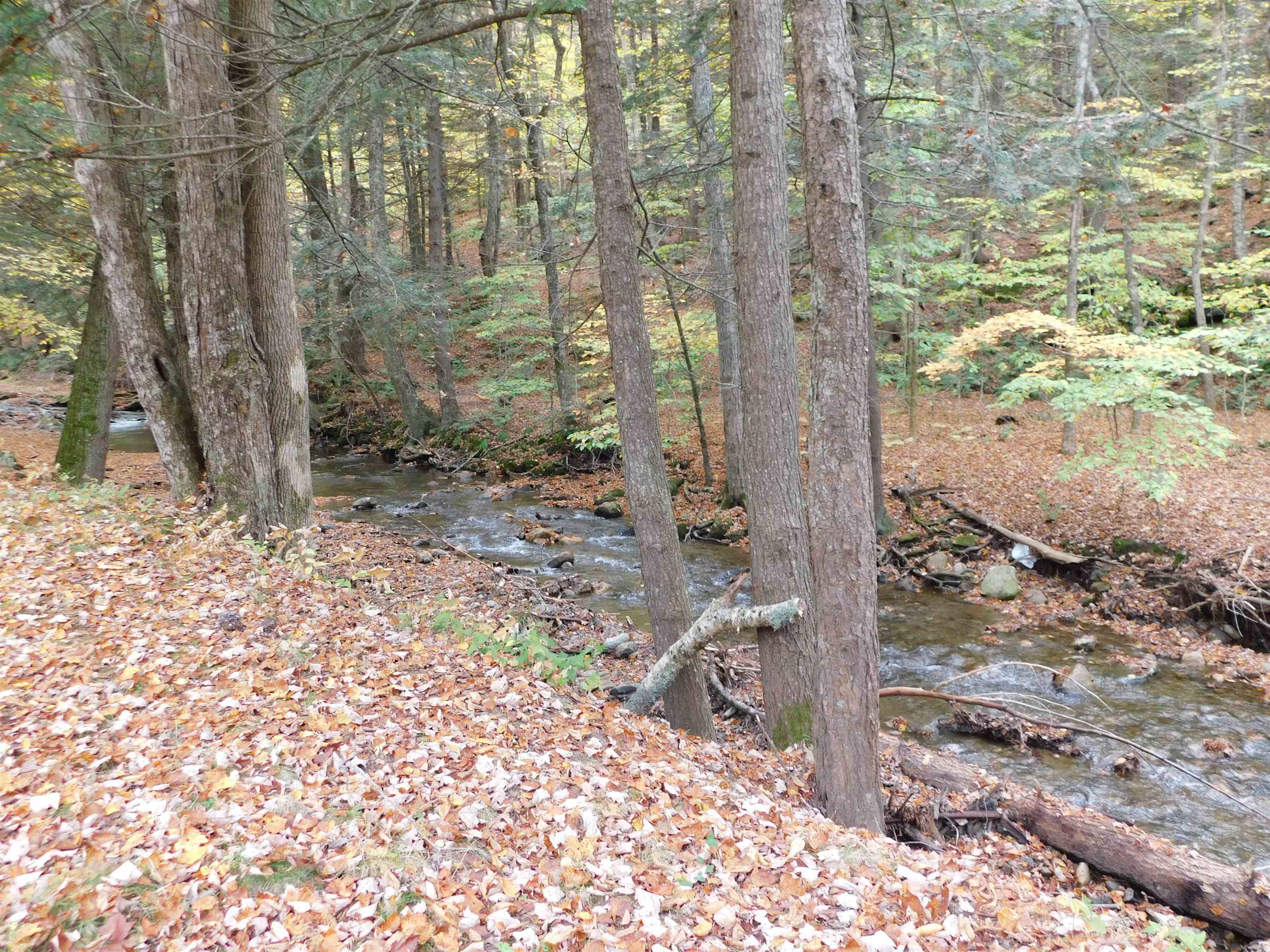 560 South Wardsboro Road Wardsboro, VT 05355 - Photo 27 of 28 Gallery Image 27