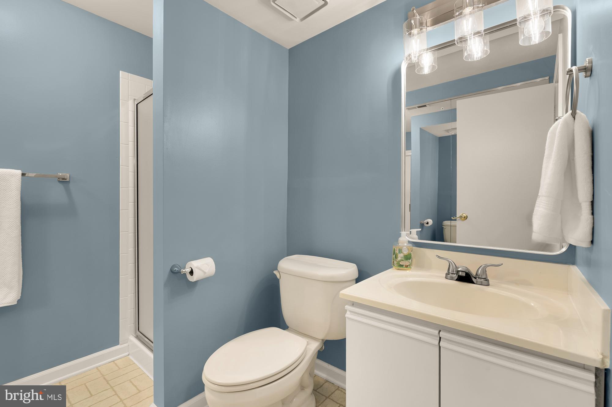 2038 Derby Ridge Lane, Unit 35 Silver Spring, MD 20910 - Photo 25 of 30 Lower Level 3rd Full Bathroom